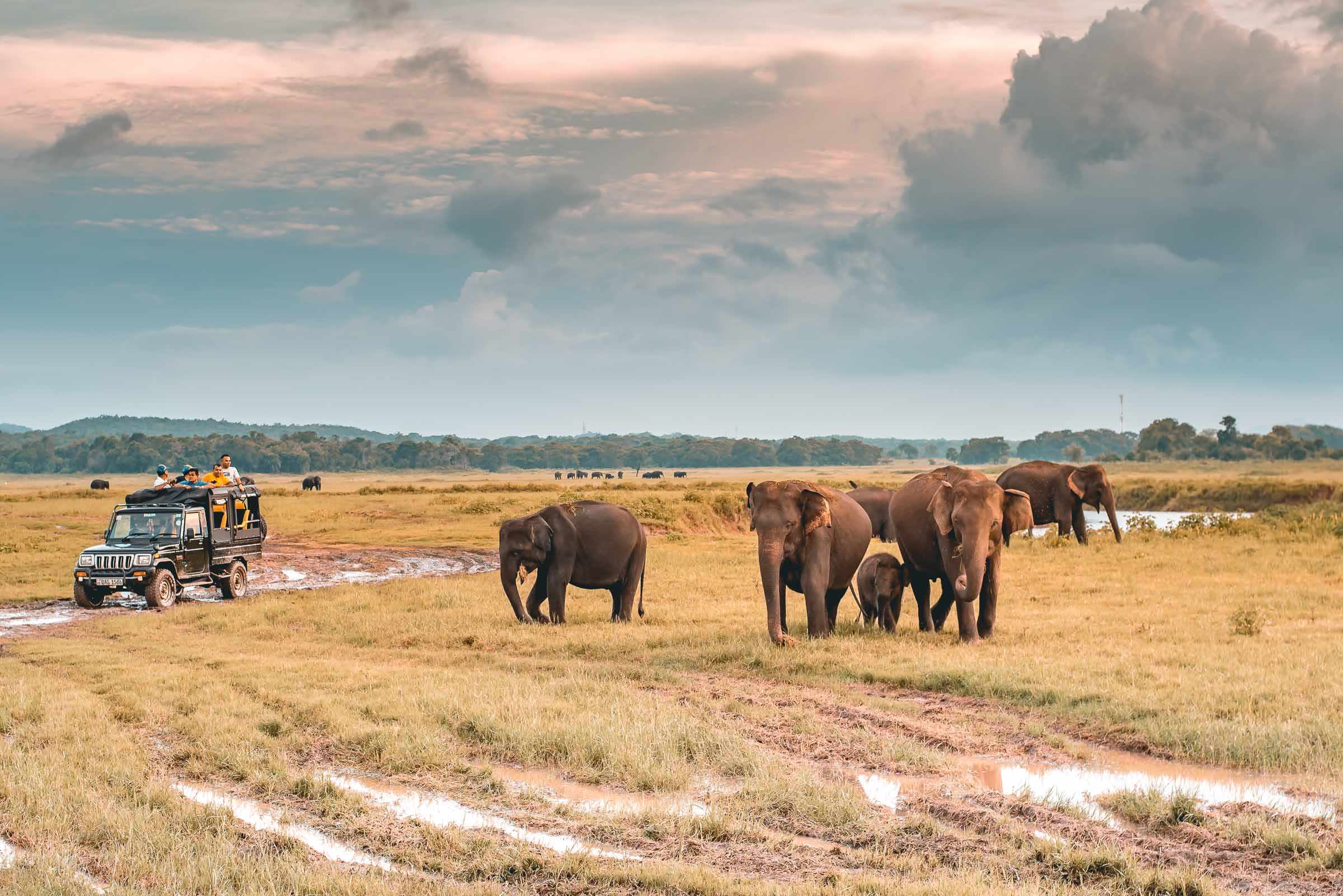 Kaudulla National Park