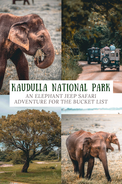 Kaudulla National Park