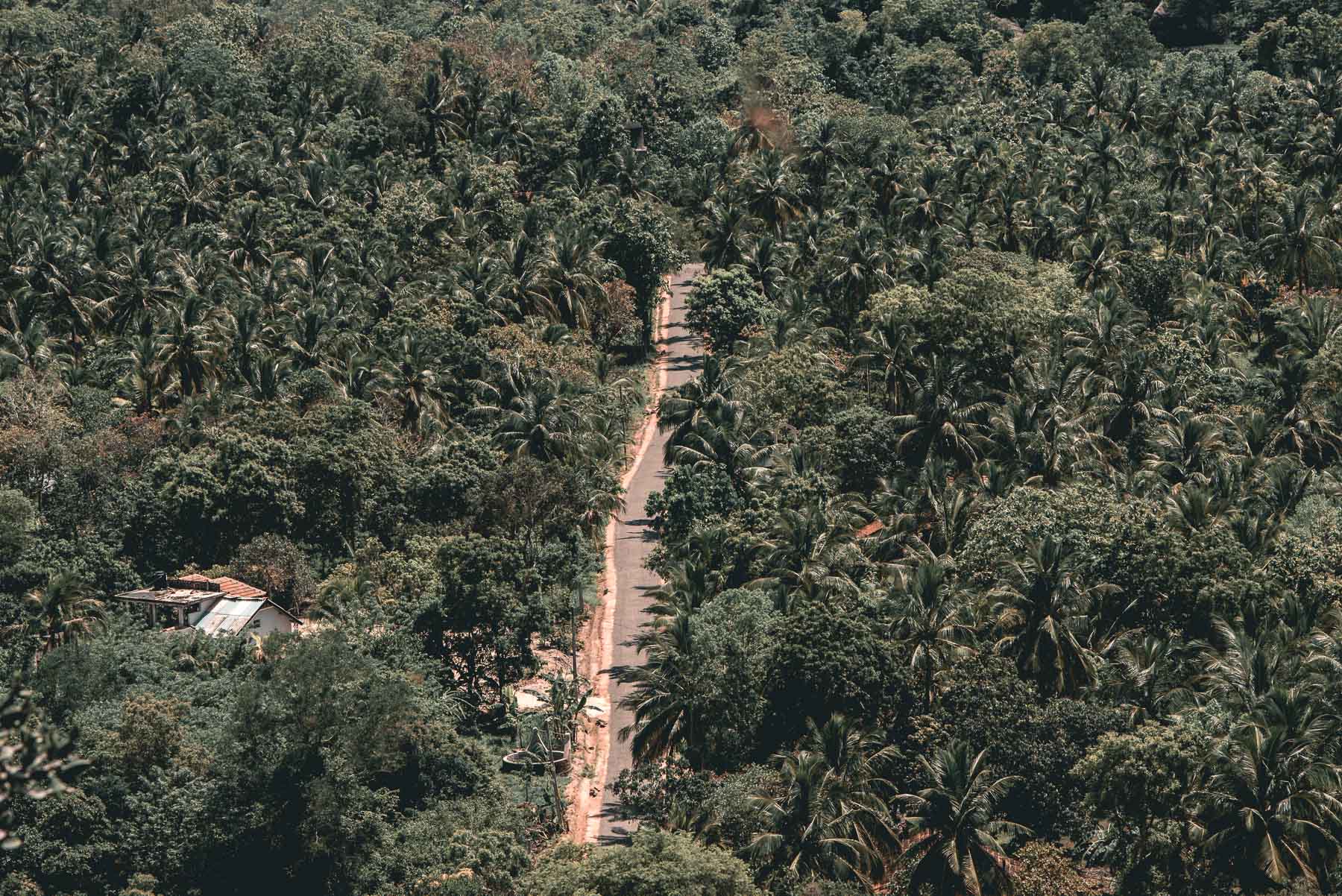 Yapahuwa Rock Fortress