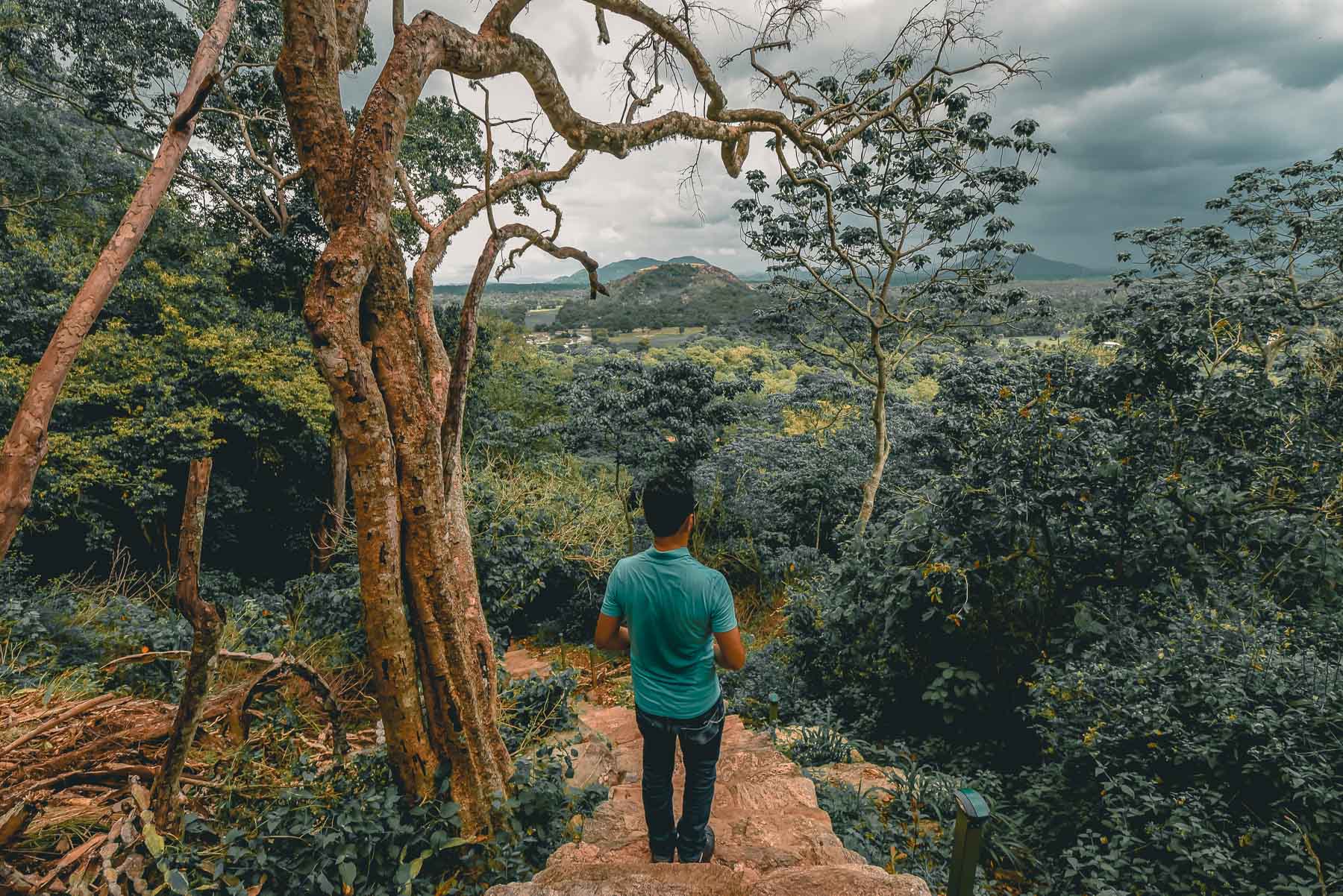 Yapahuwa Rock Fortress