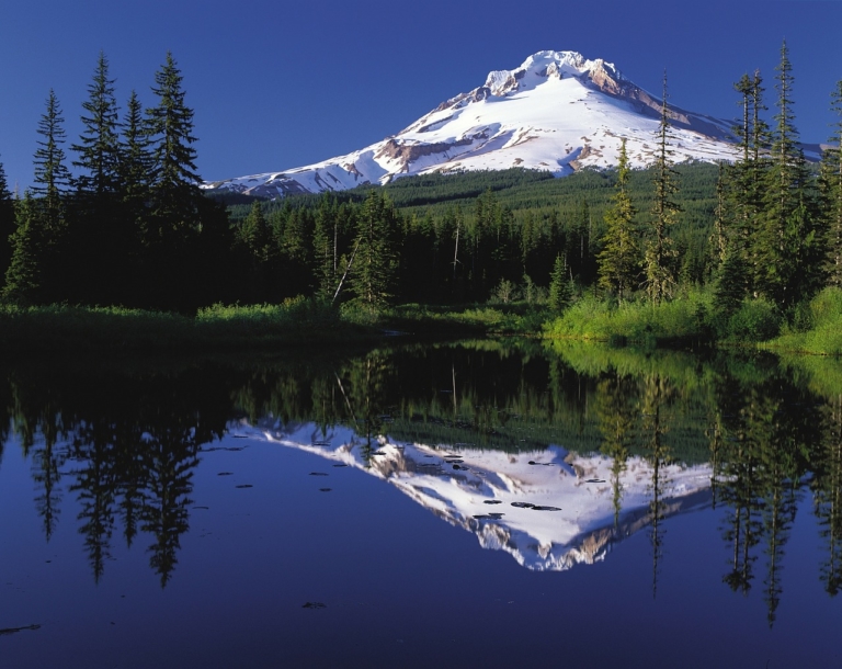 TOP 15 Music Festivals In Oregon To Experience This Sumer [2020]