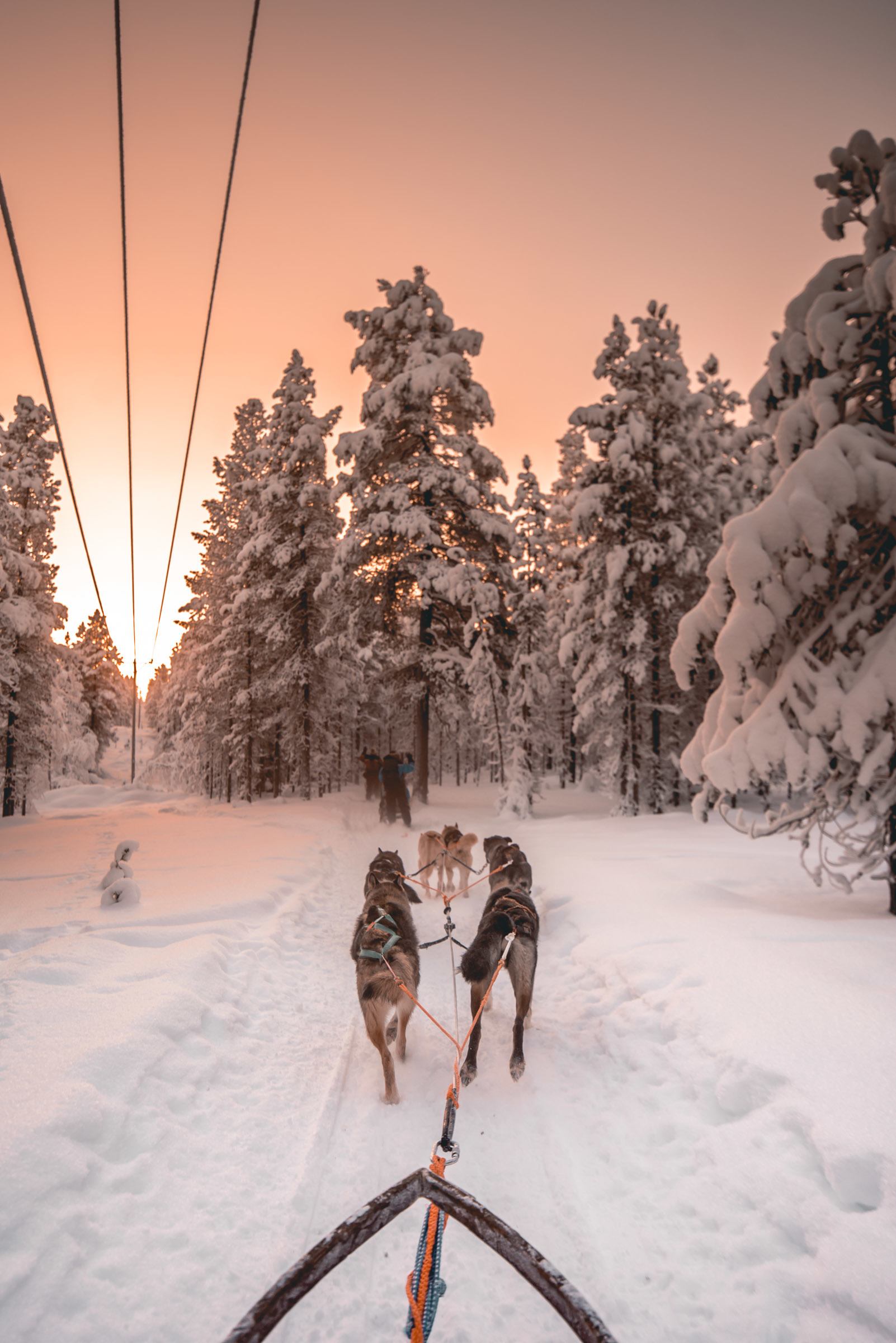 Husky Sledding Torassieppi, Lapland, Finland