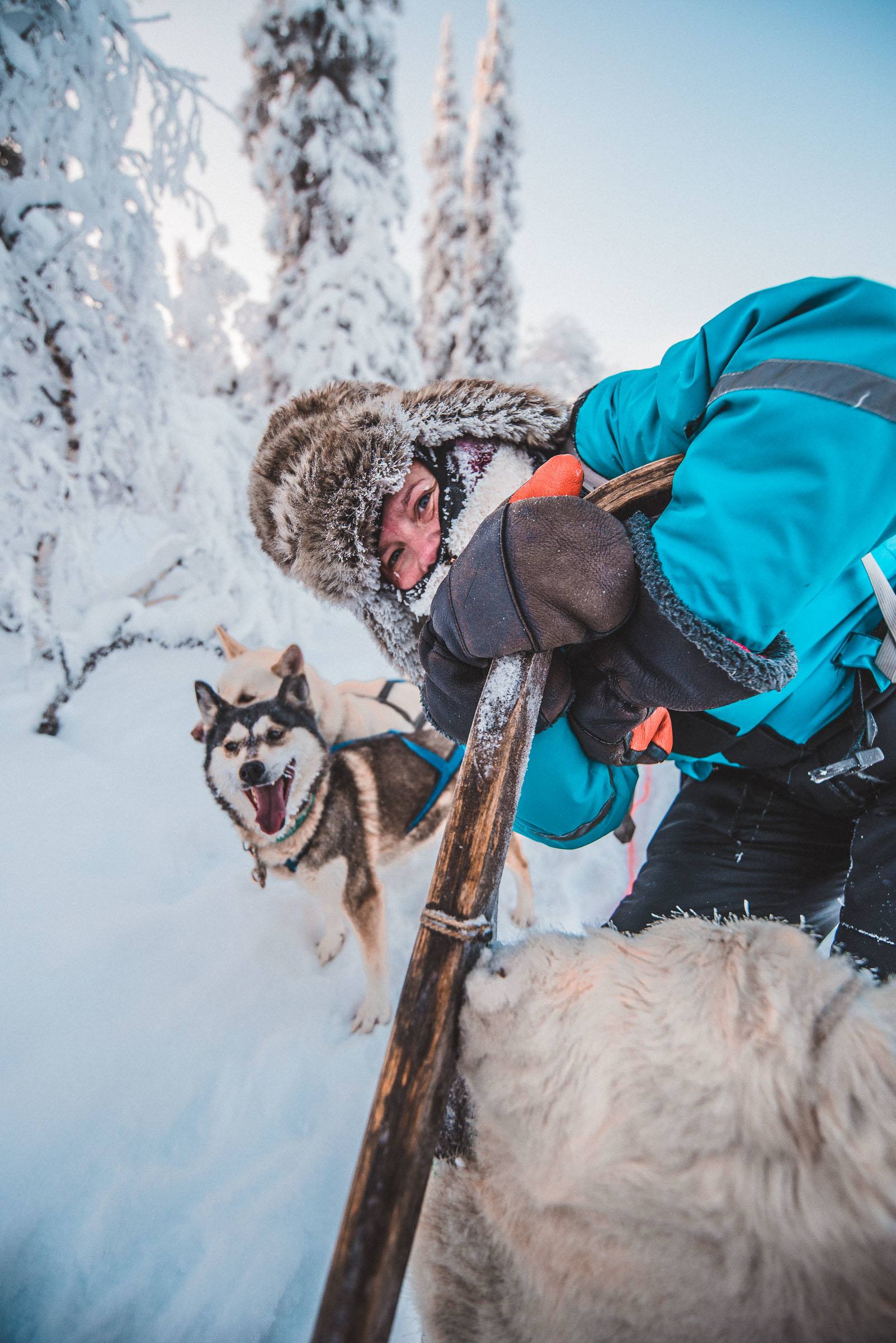 Husky Sledding Torassieppi, Lapland, Finland