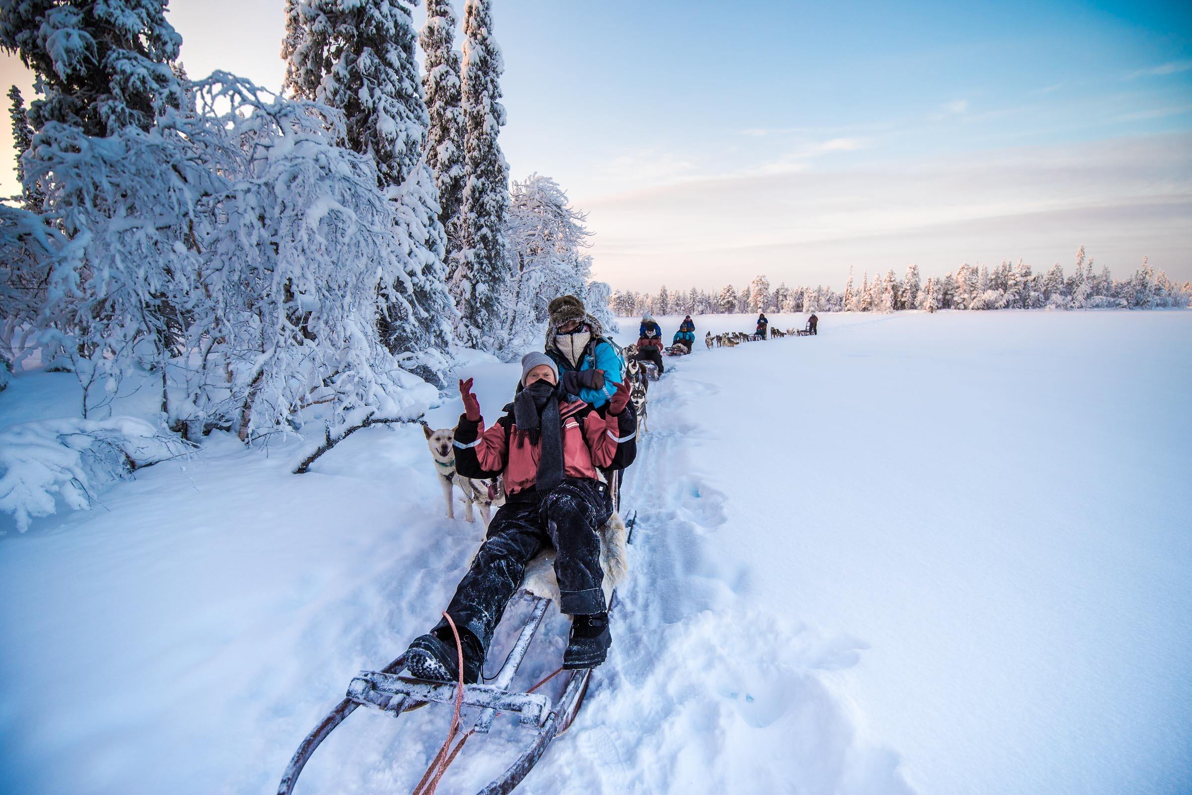 Husky Sledding Torassieppi, Lapland, Finland