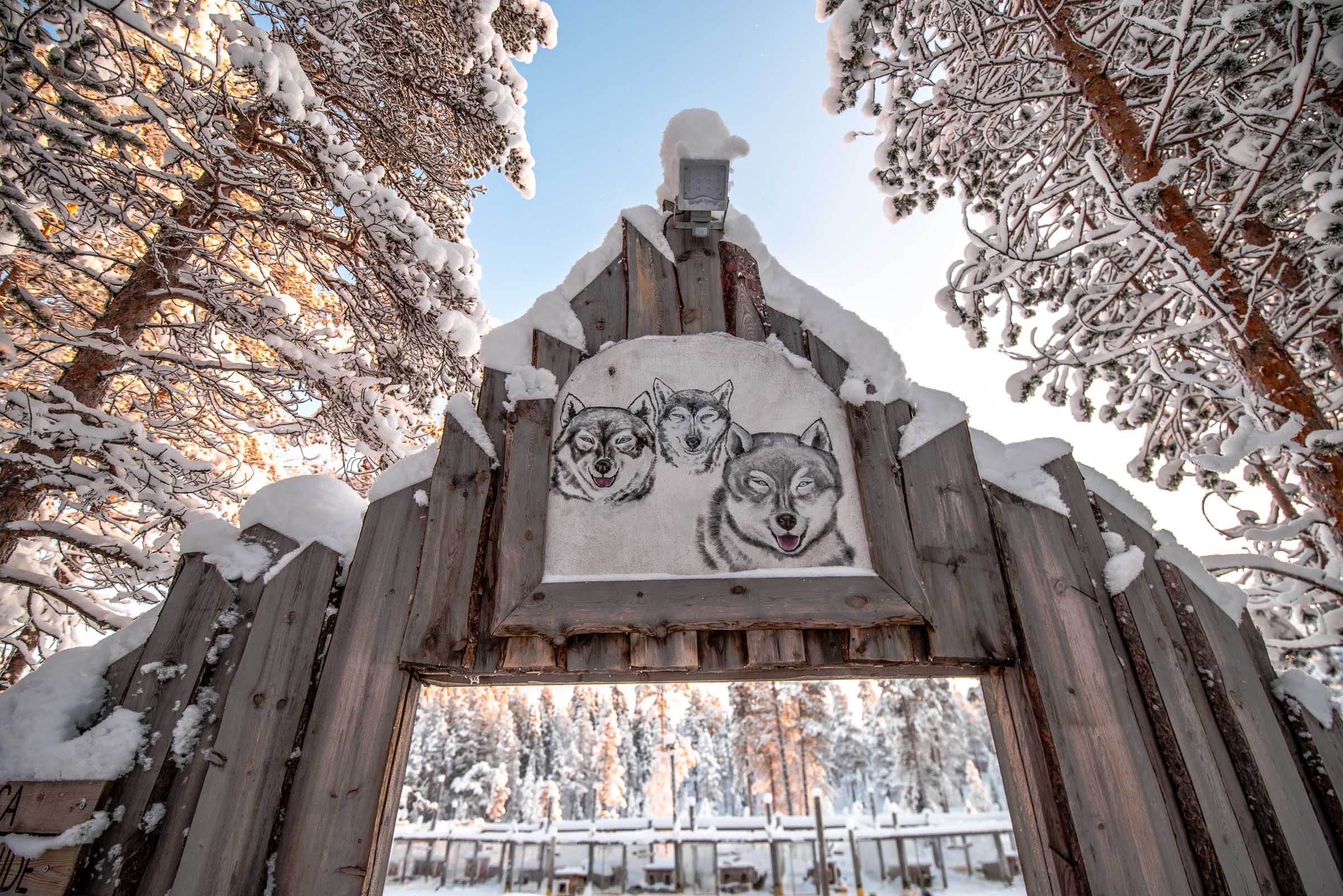 Husky Sledding Torassieppi, Lapland, Finland