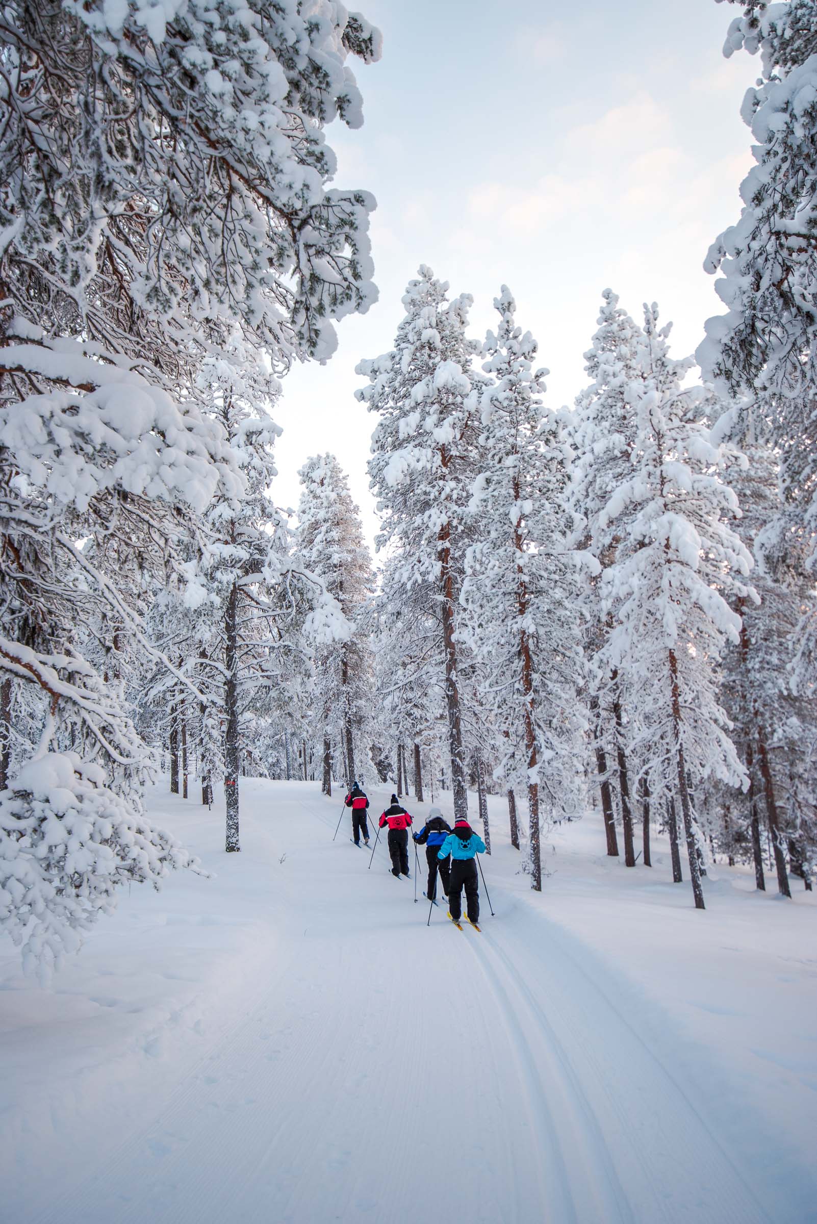 Cross Country Skiing Lapland Finland