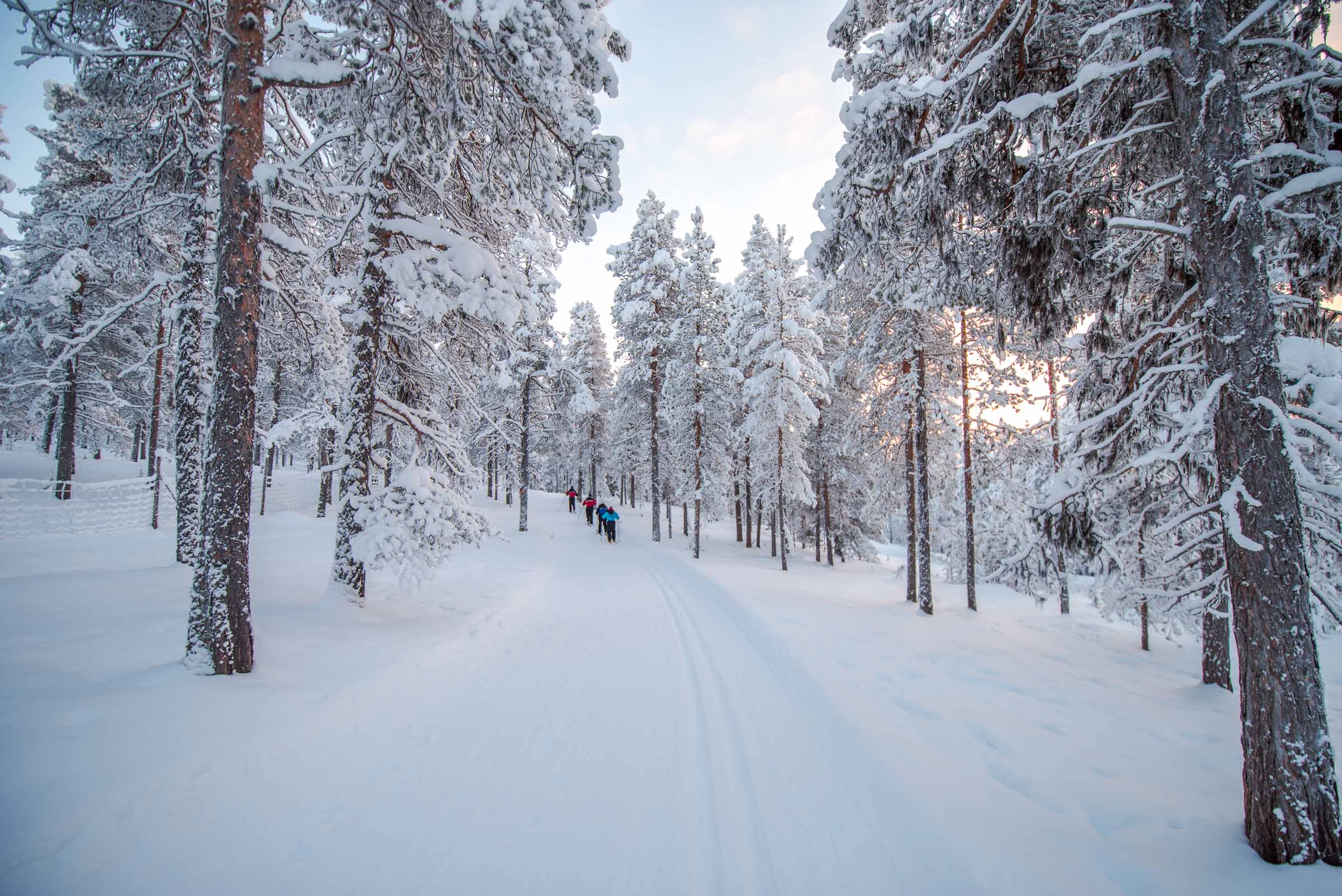 Cross Country Skiing Lapland Finland