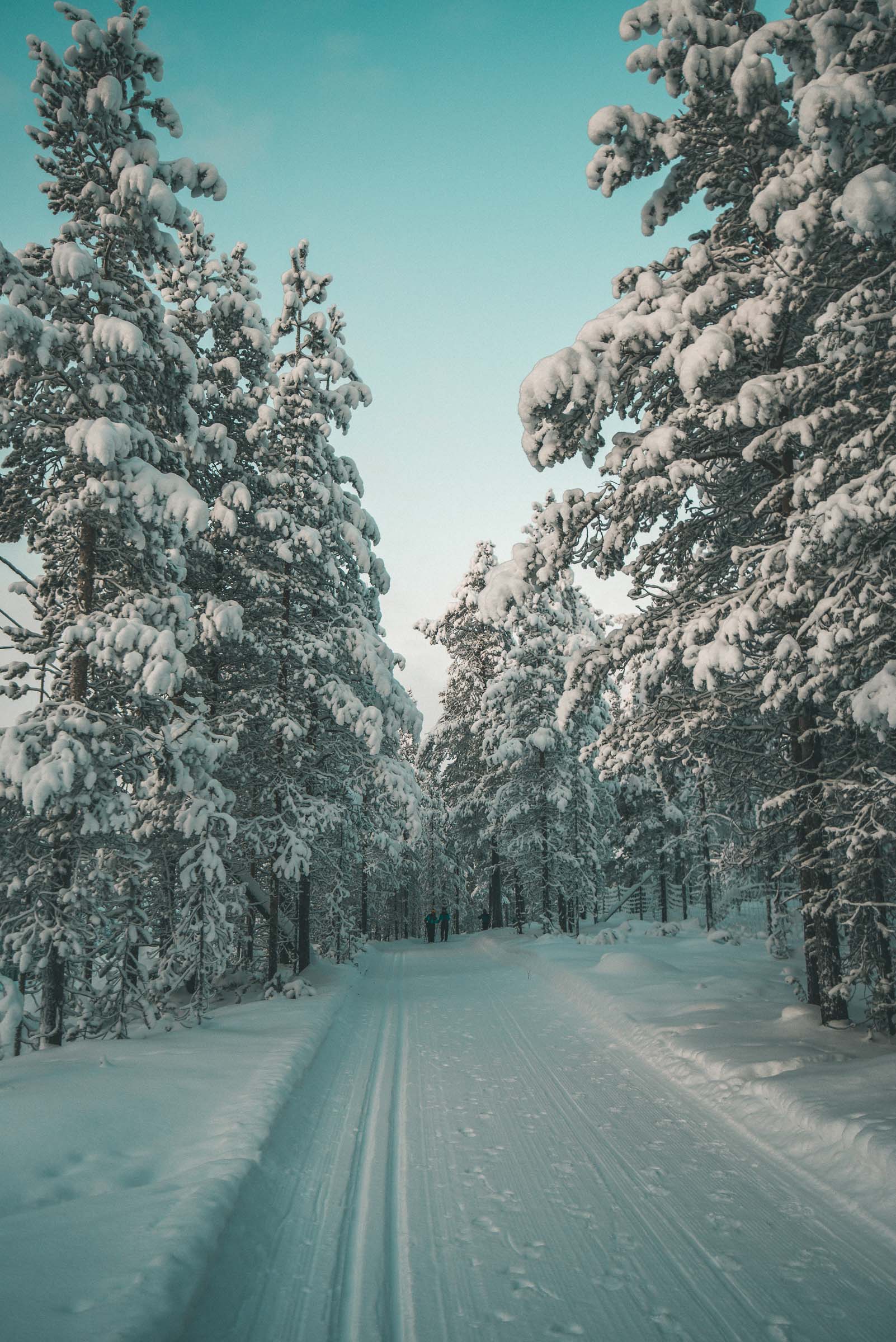 Cross Country Skiing Lapland Finland