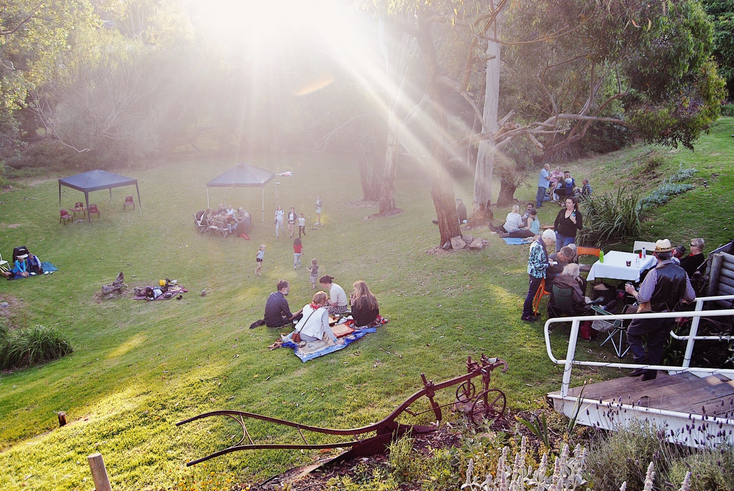 Top 20 Adelaide Music Festivals That'll Keep You Dancing All Year Long