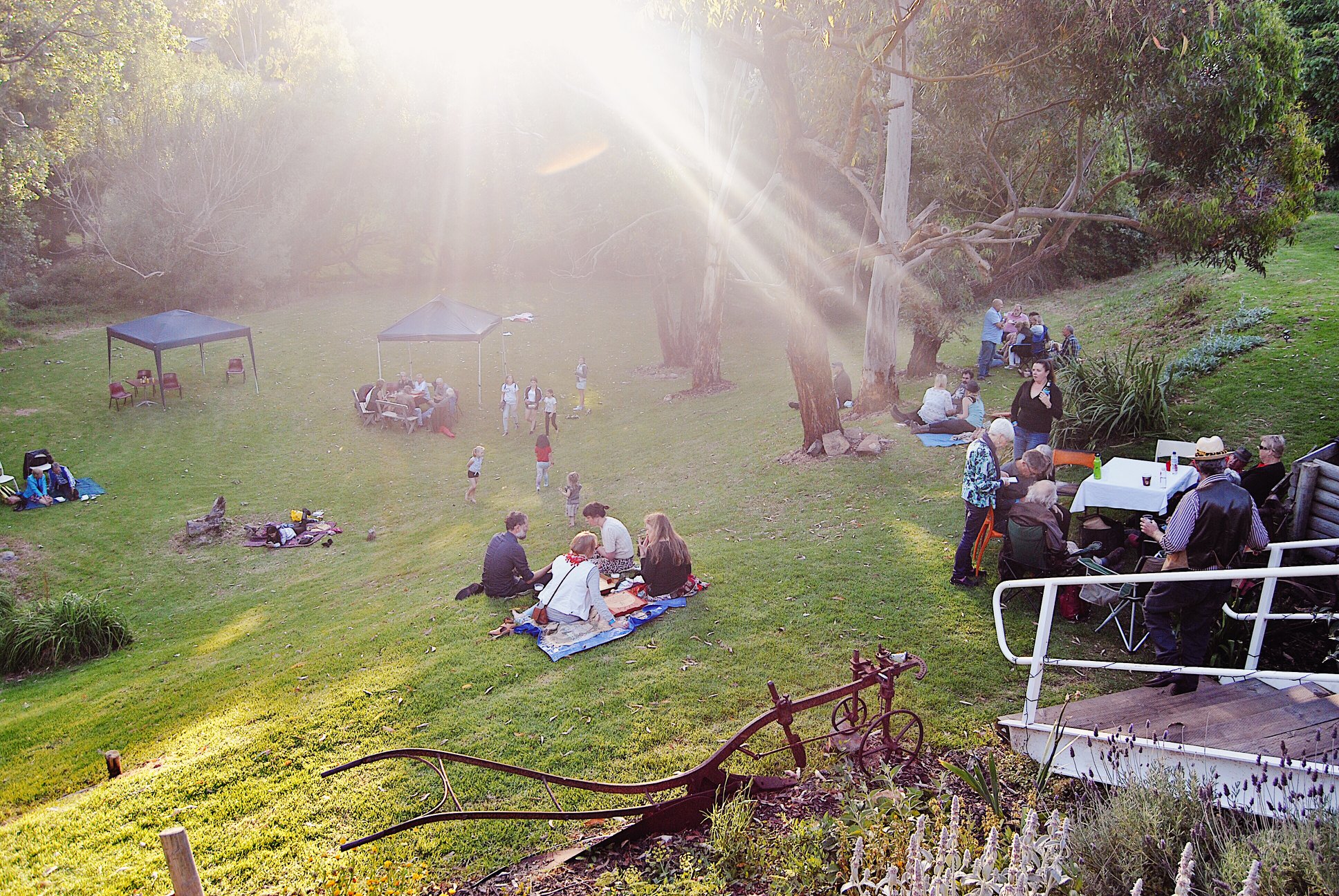 Top 20 Adelaide Music Festivals That