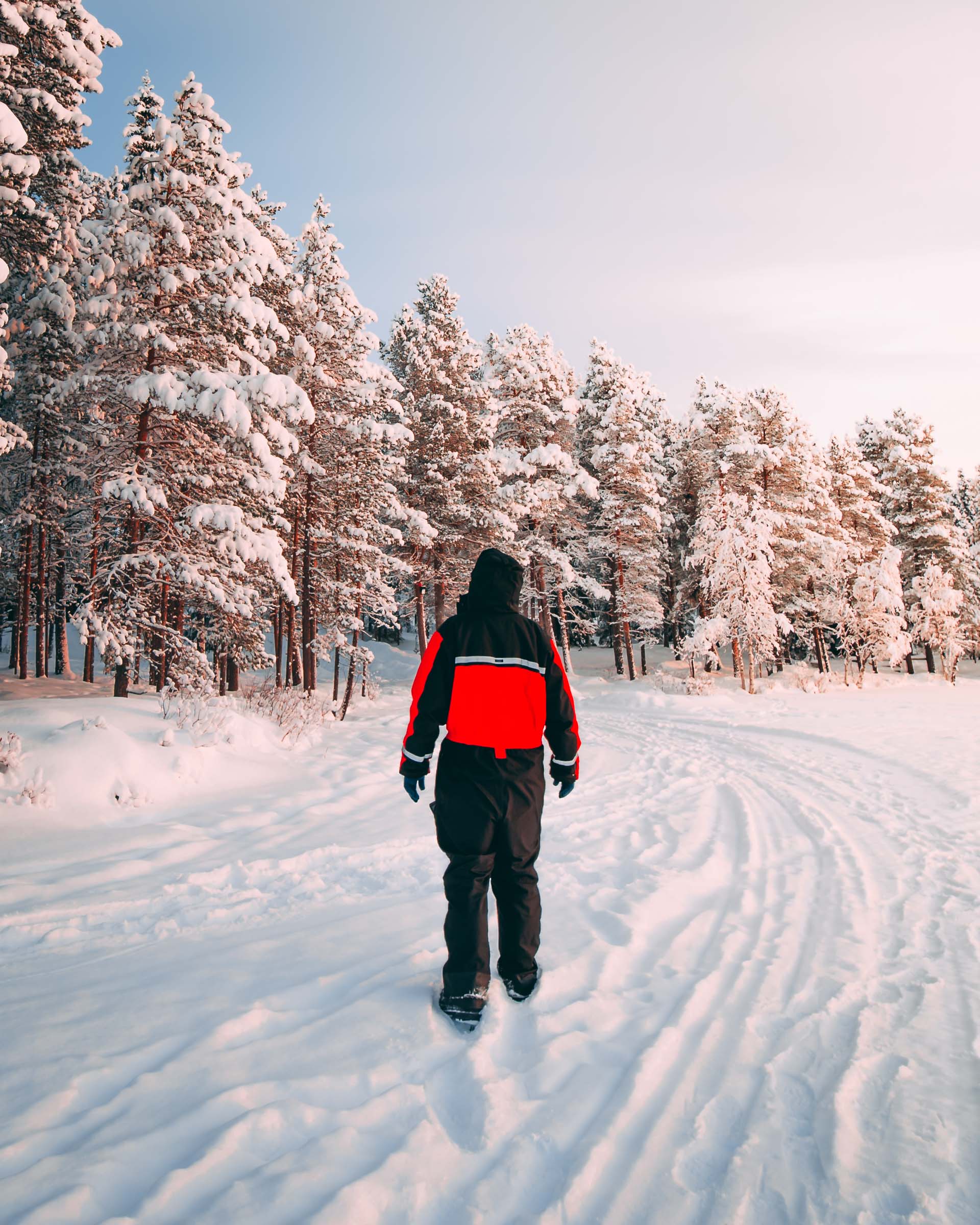 Torassieppi Finland