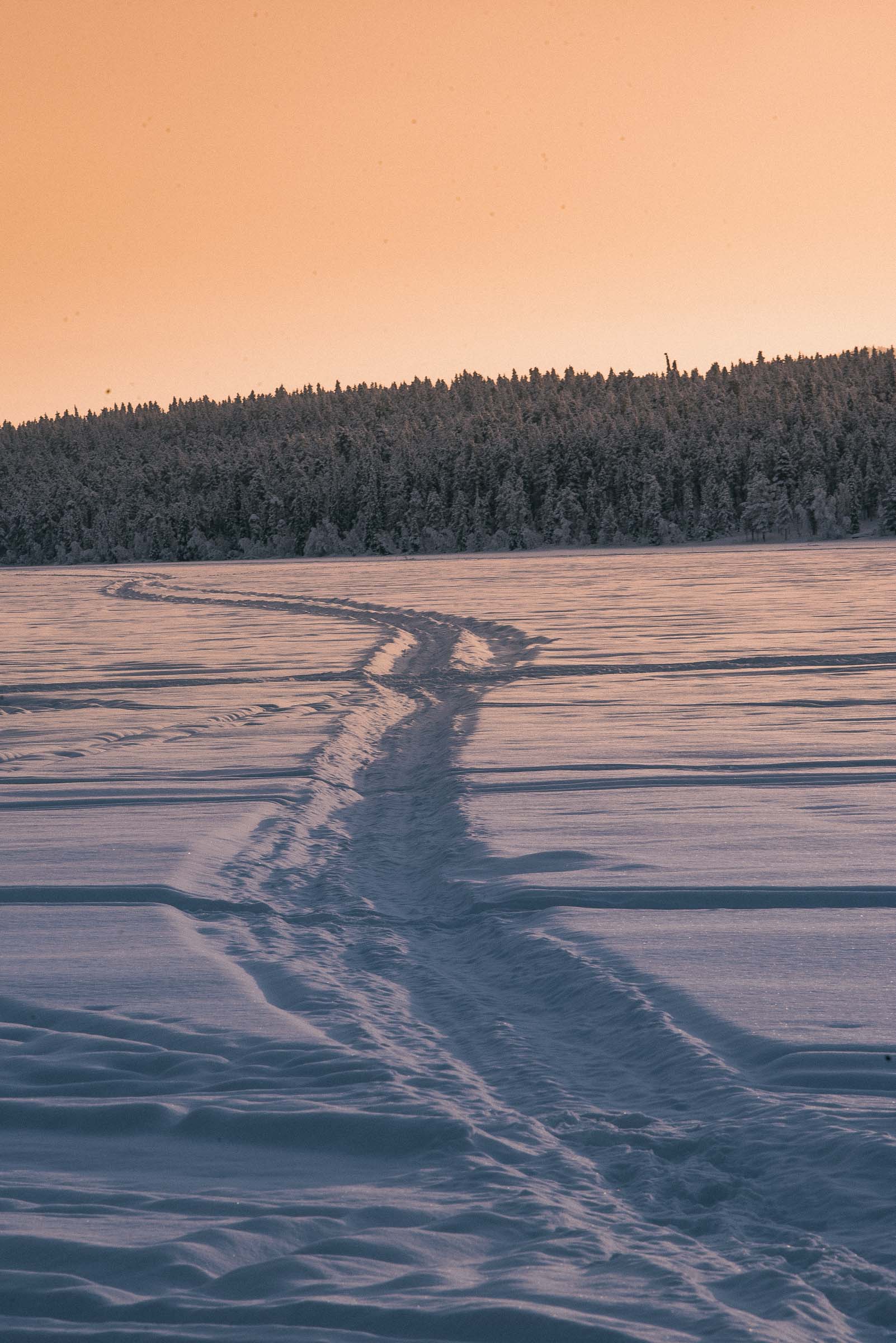 Torassieppi Finland