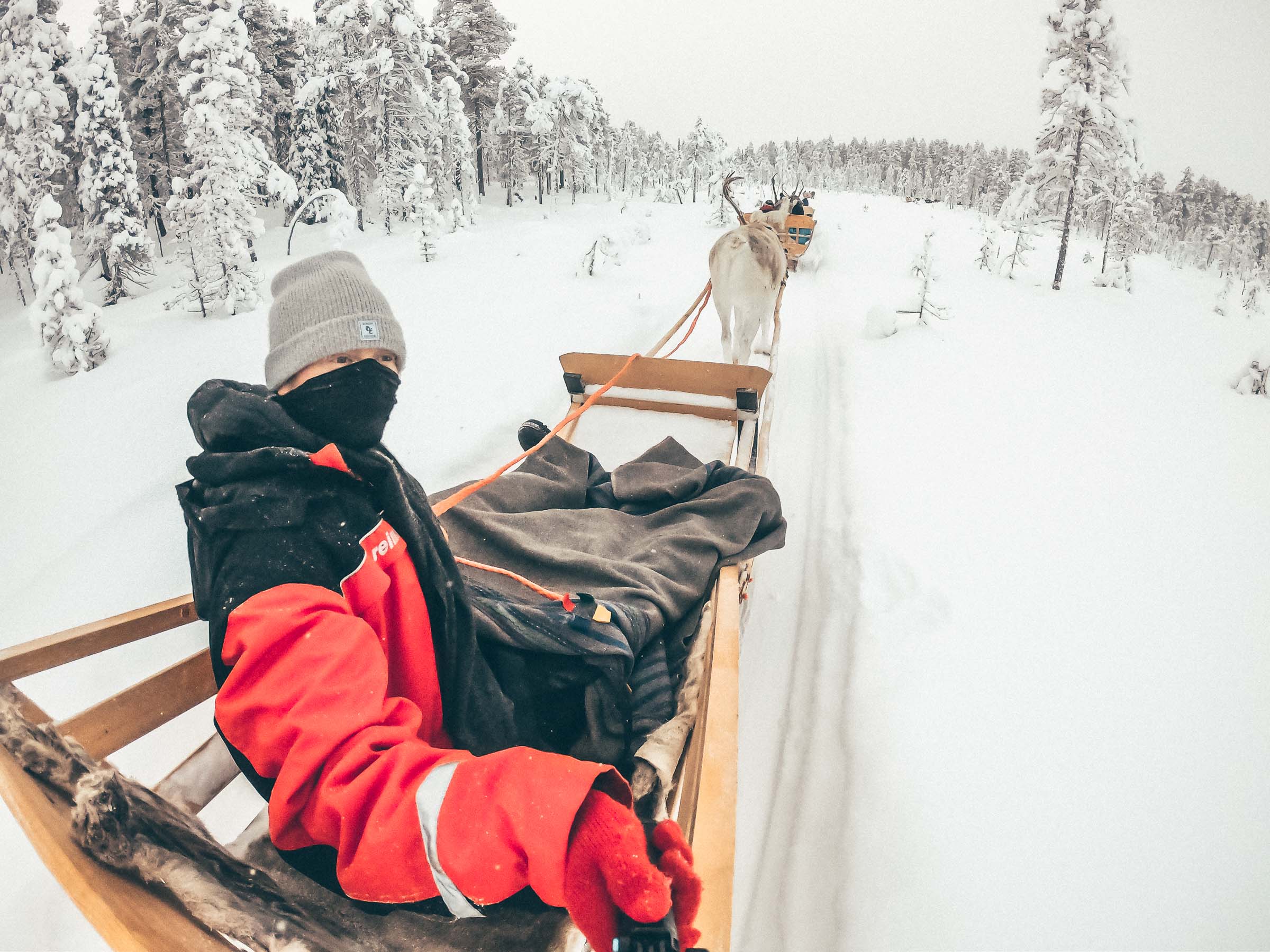 Lapland Reindeer Sleigh Ride