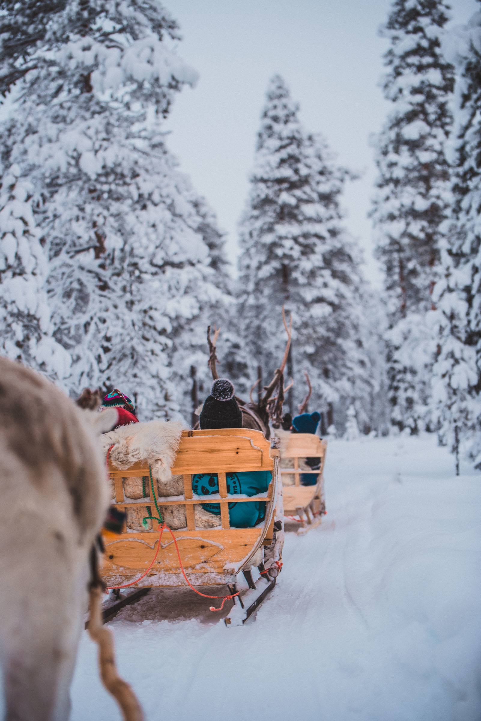 Lapland Reindeer Sleigh Ride