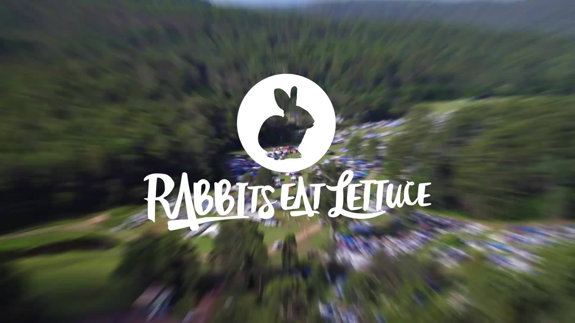 Rabbits Eat Lettuce Festival Byron Bay Australia