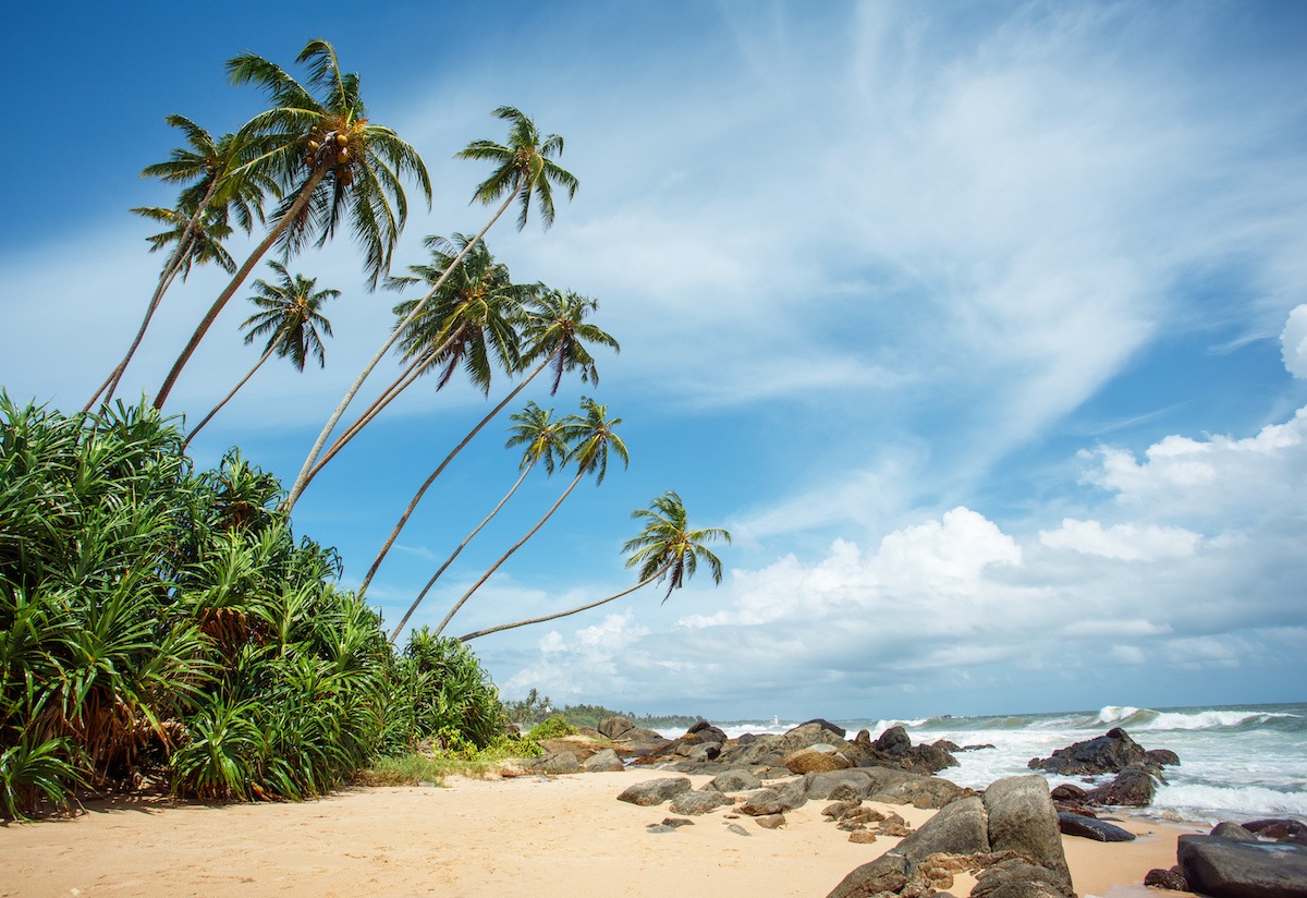 Best Tropical BEaches Sri Lanka