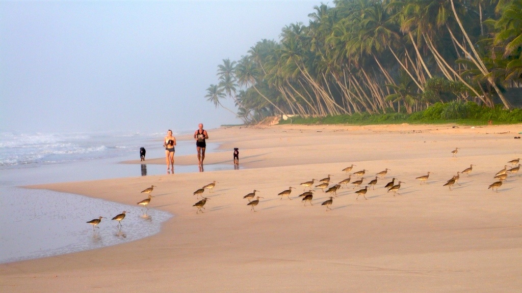 Koggala Beach Sri Lanka