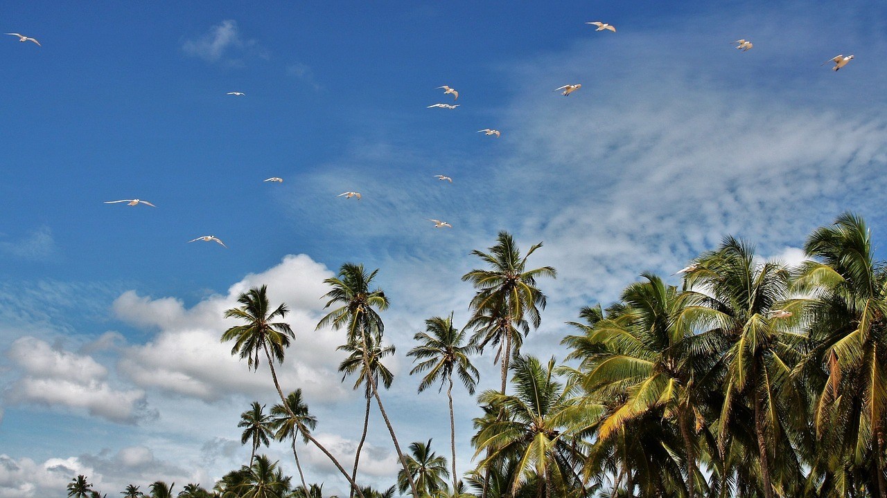 Sri Lankan Beaches 2019