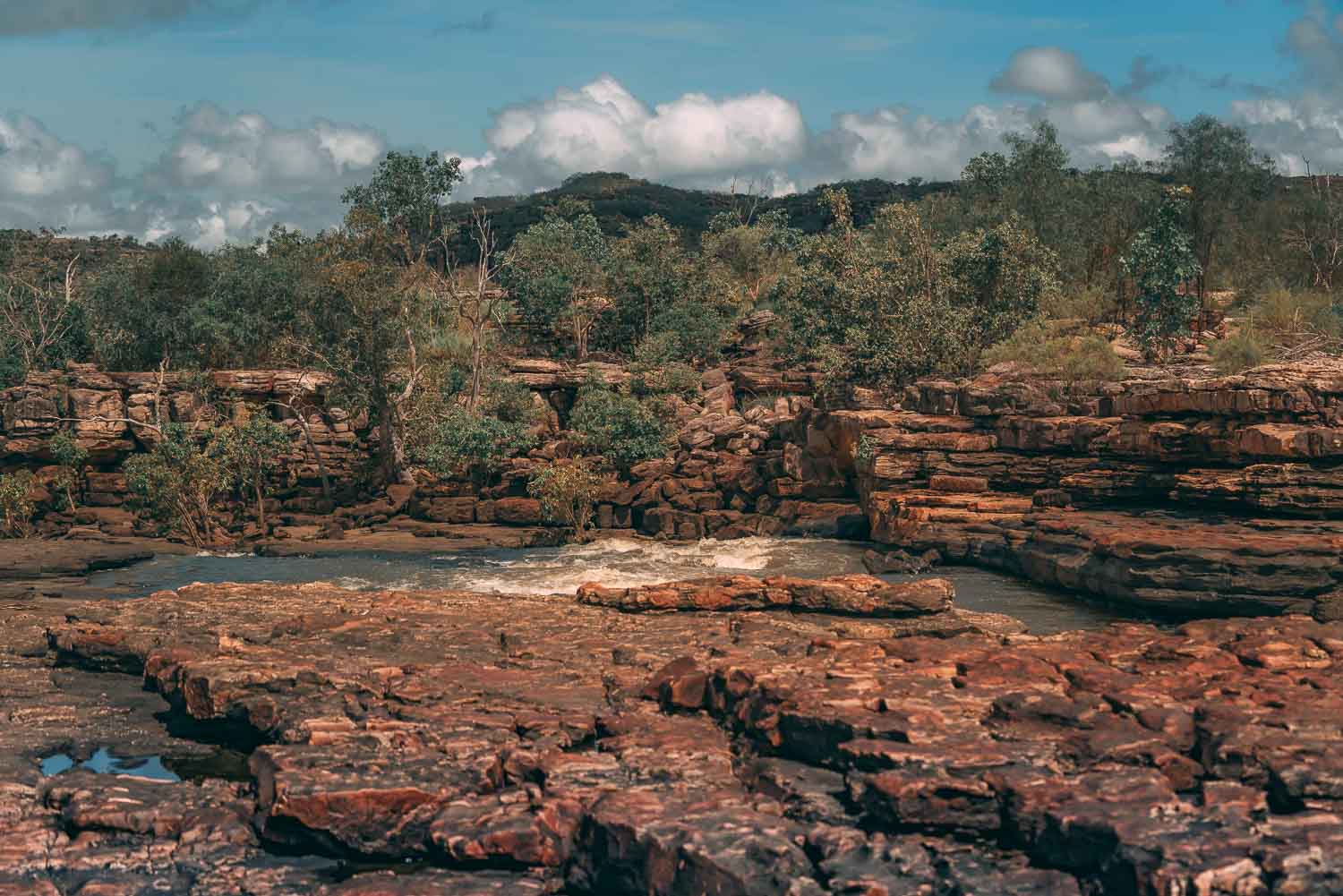 Arnhem Land Wildlife Safari , Northern Territory, Australia