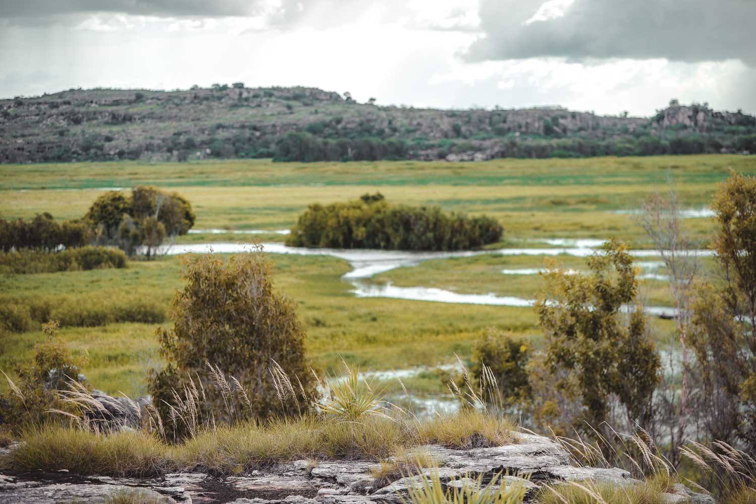 Arnhem Land Wildlife Safari , Northern Territory, Australia