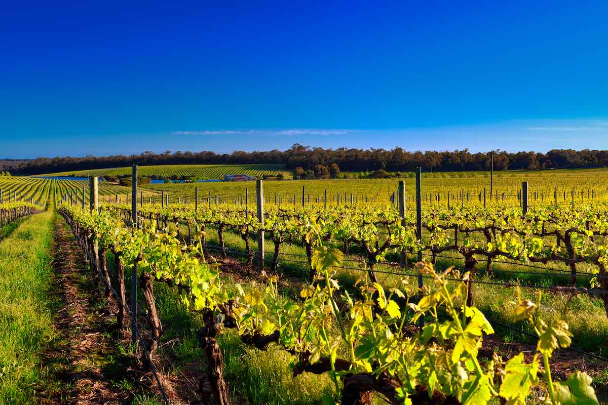 Perth Itinerary Wine Tasting