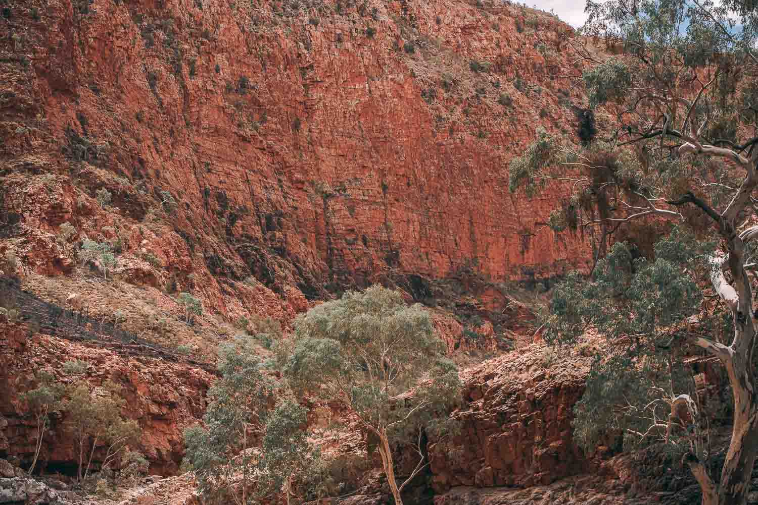 West MacDonnell National Park 017654