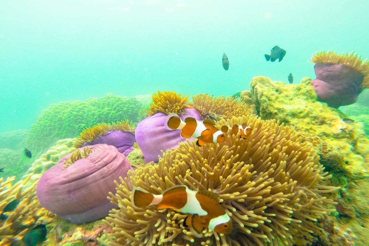 long beach perhentian