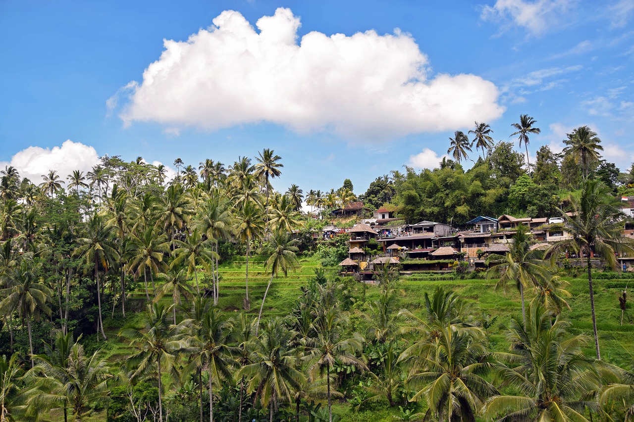 3 Days in Ubud Itinerary