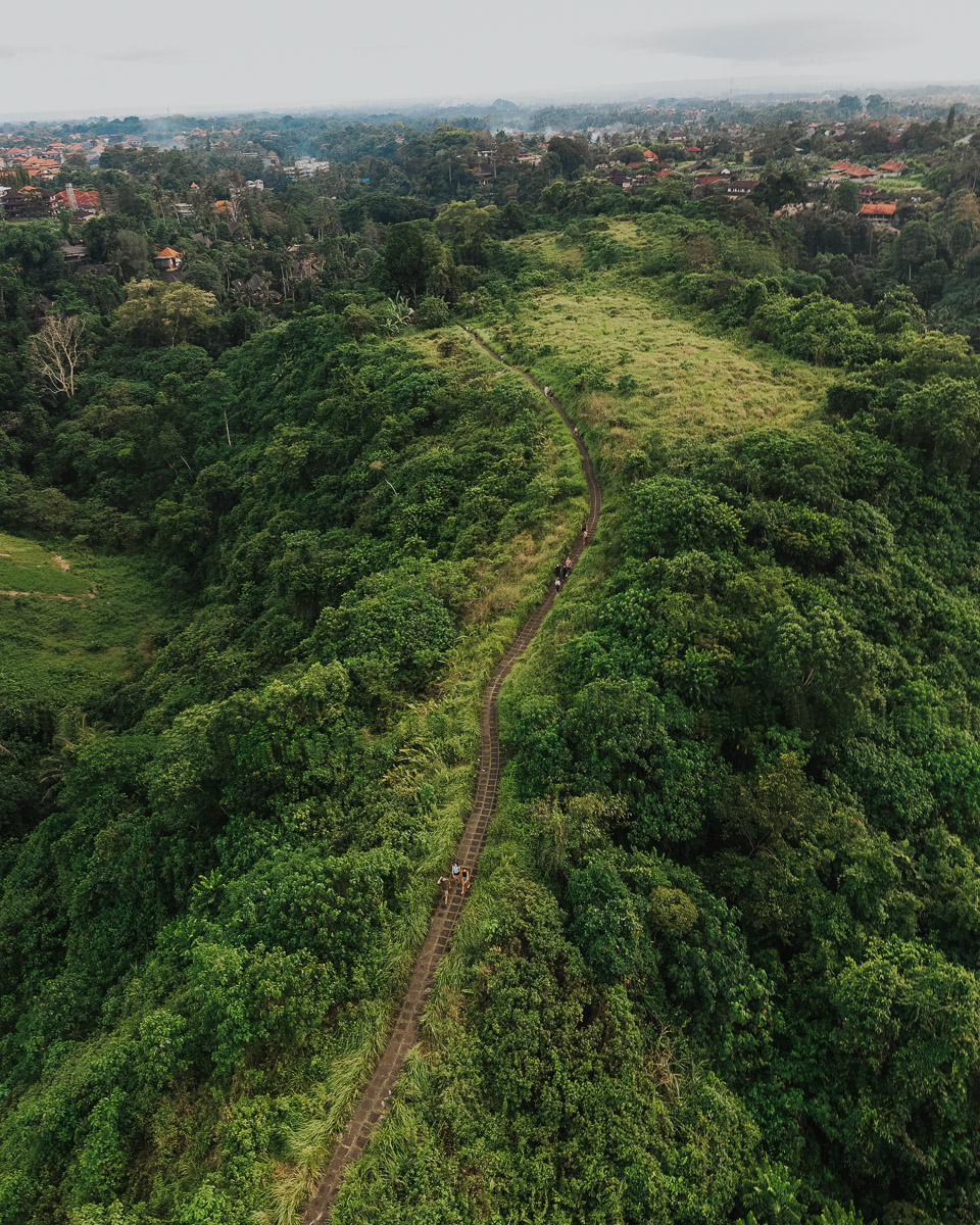 Campuhan Ridge Walk