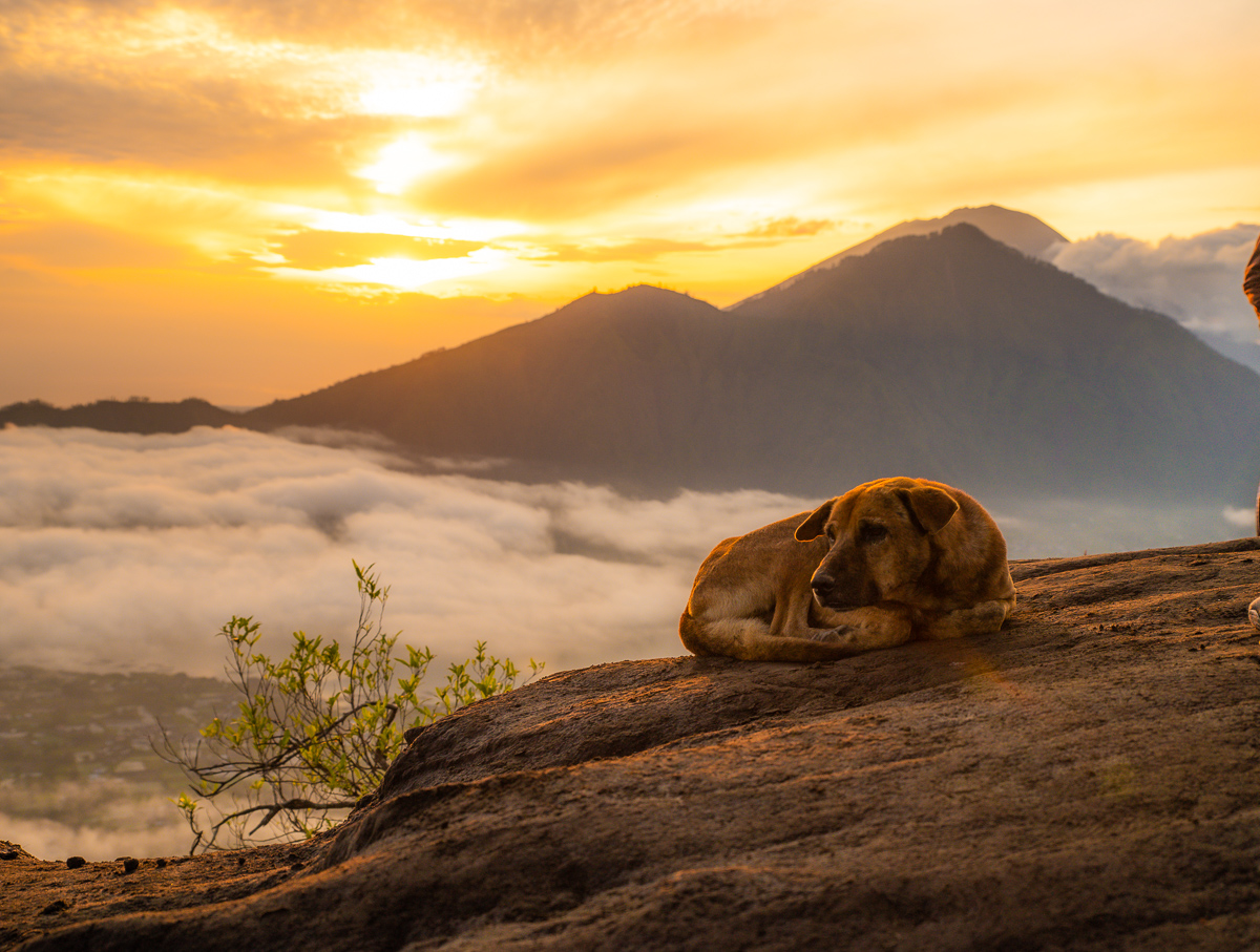 Mt Batur Sunrise Hike