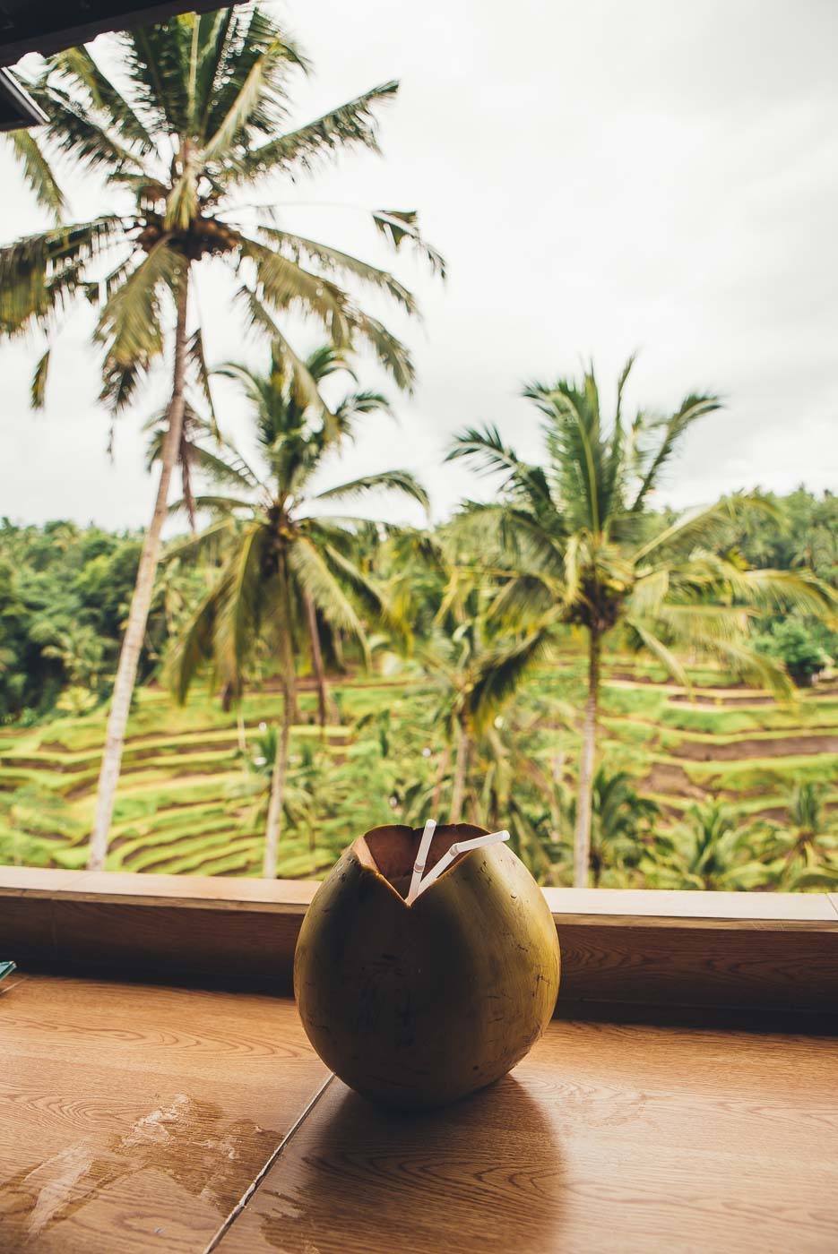 Ubud Rice Terraces - Bali Itinerary