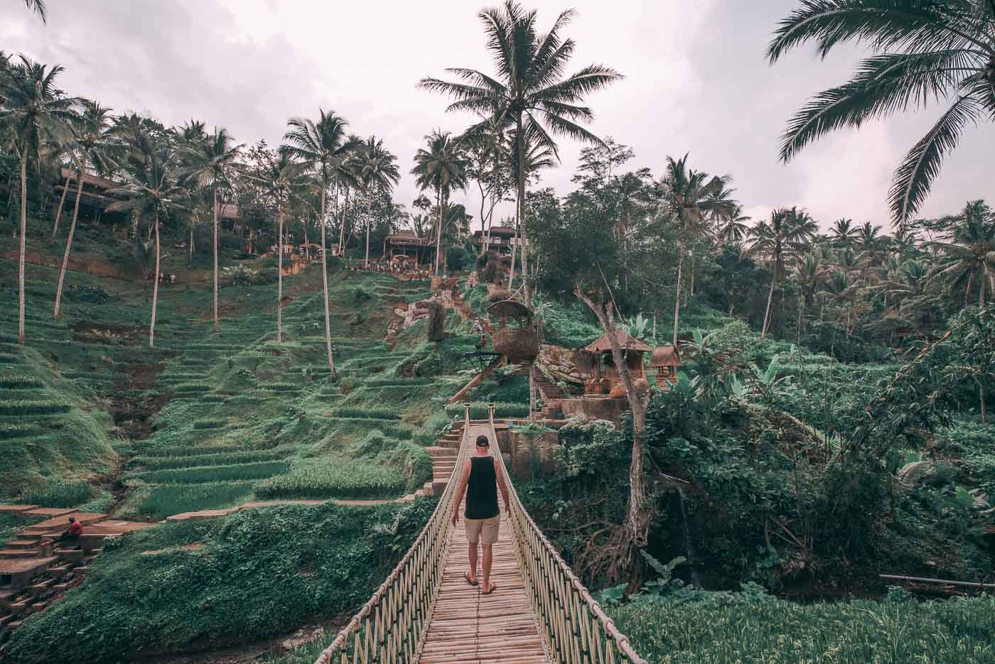 Ubud Rice Terraces - Bali Itinerary 