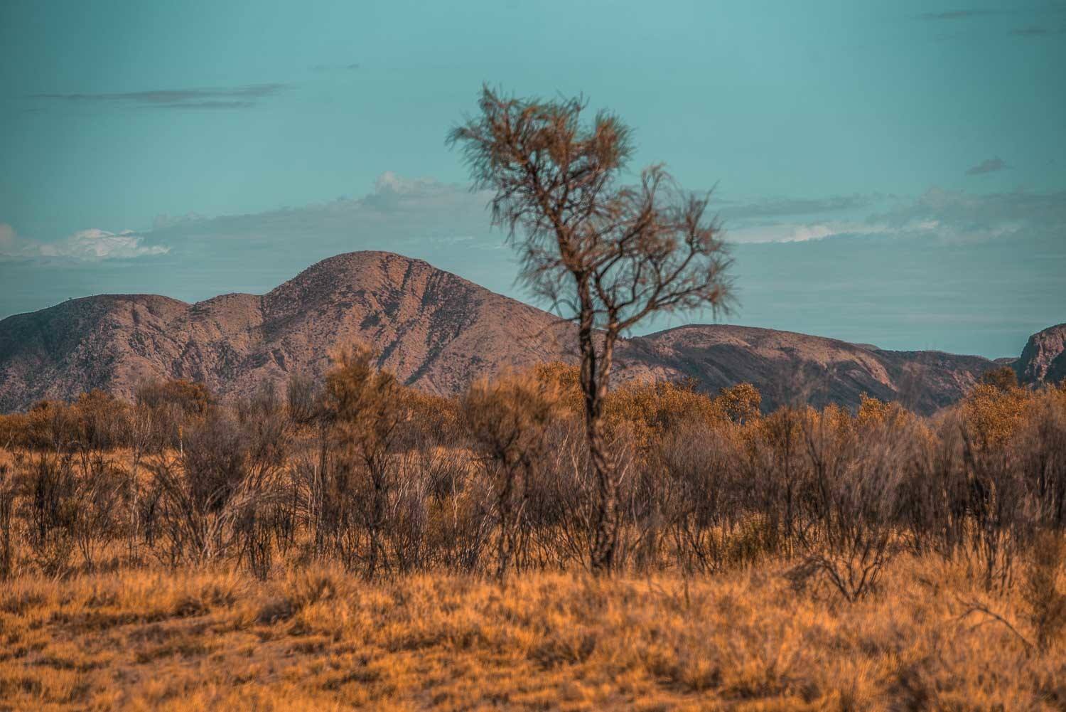 Australian outback Facts 