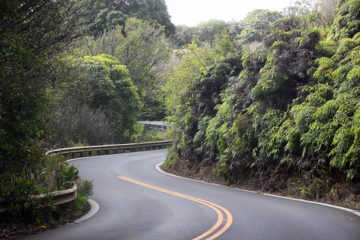 Road To hana - Best Maui Itinerary