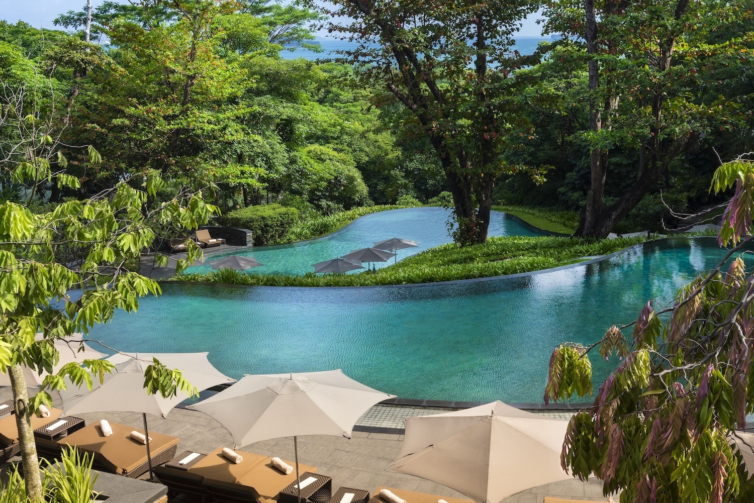 Capella Singapore Infinity Pool