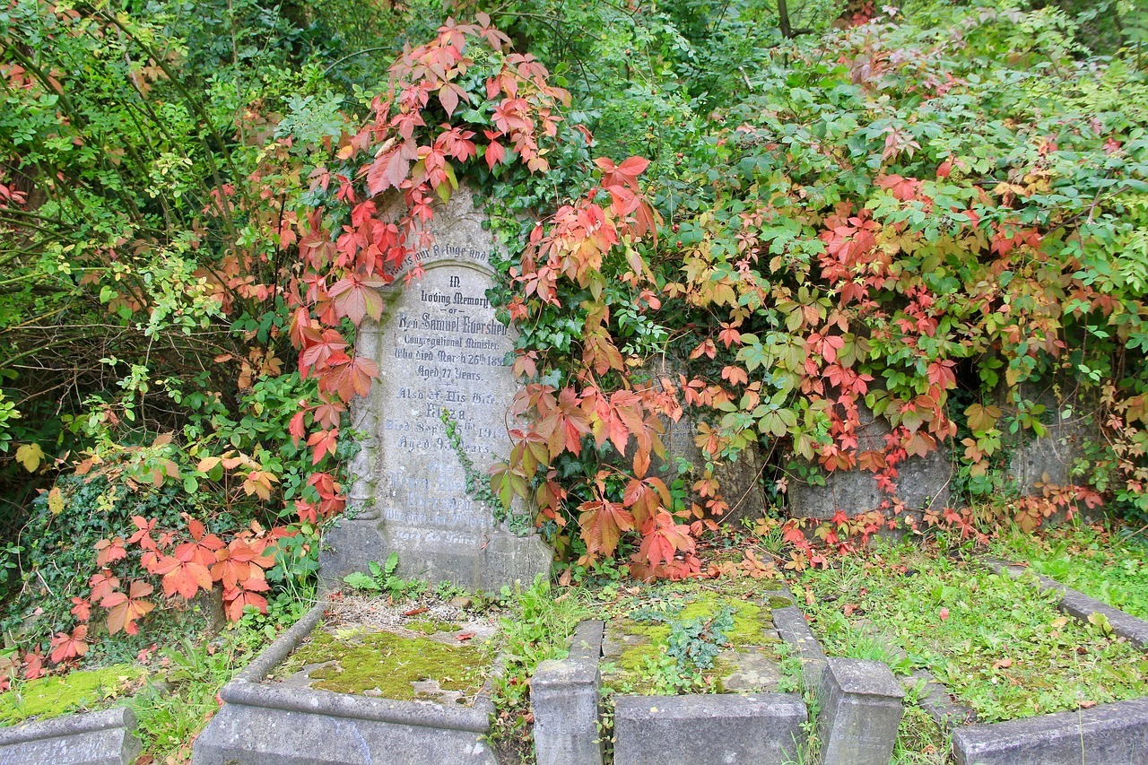 Highgate Cemetery - Unique Things to do in London