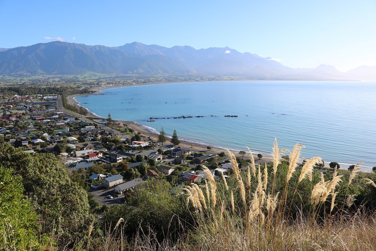 Kaikoura New Zealand- South Island Road Trip Itinerary