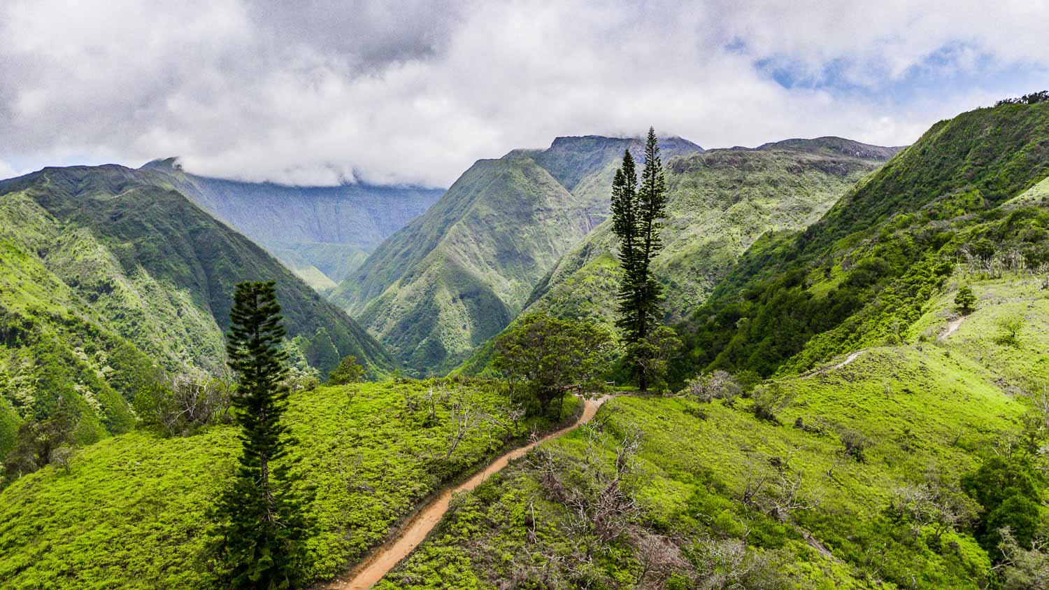 Waihee Ridge Trail - Maui Itinerary