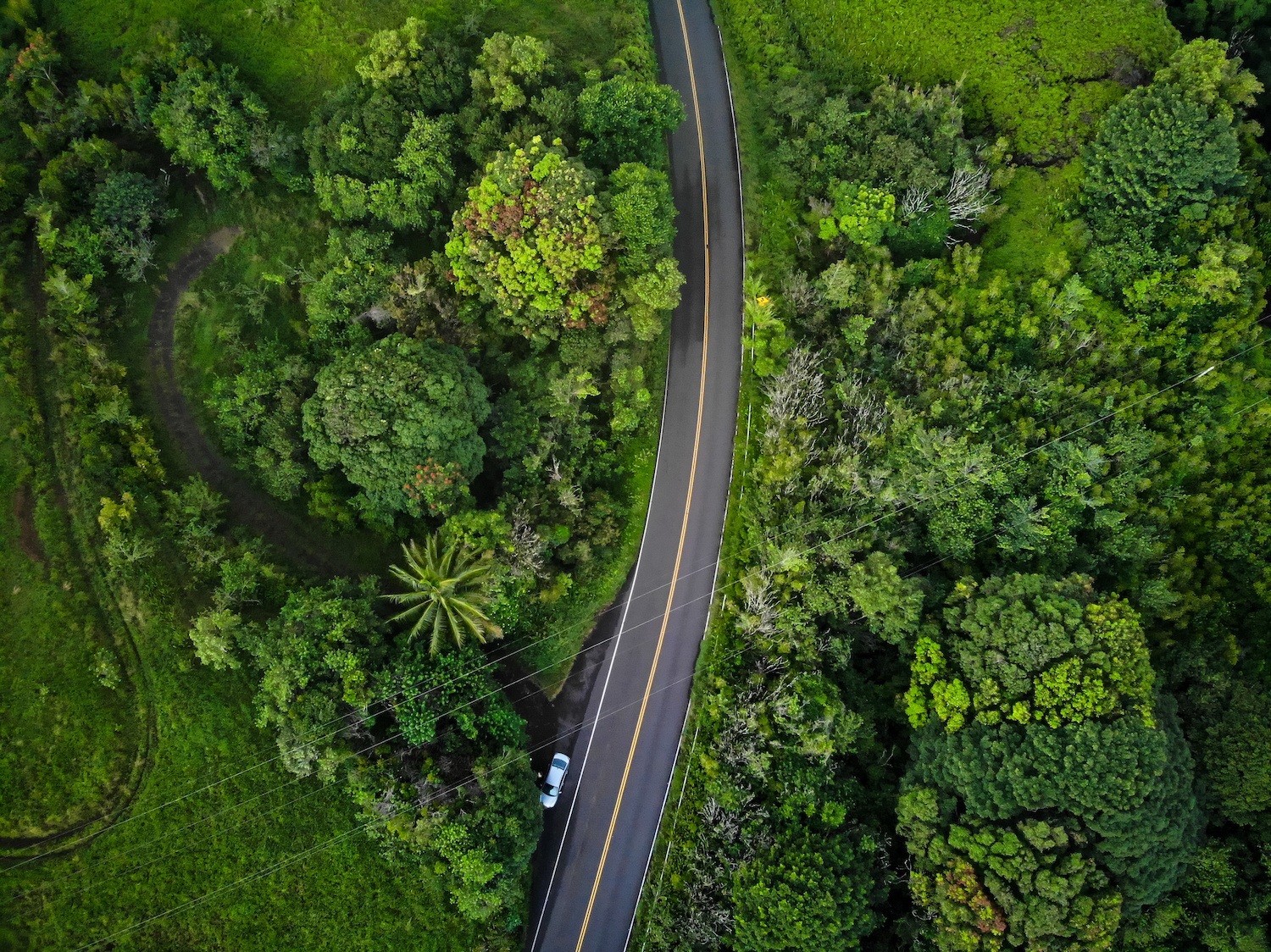 Road to Hana - Maui Itinerary