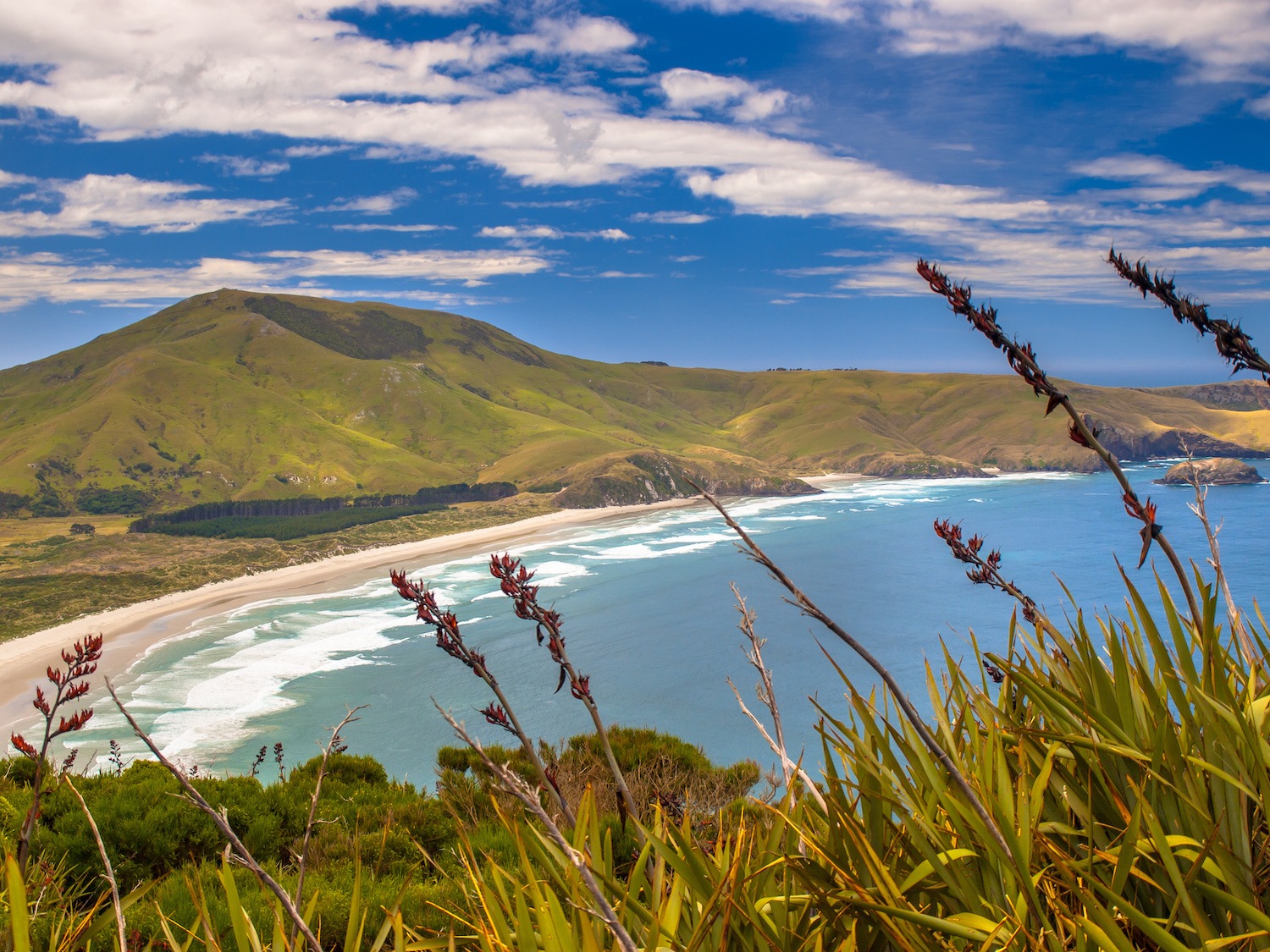 Otago - New Zealand South Island Road Trip