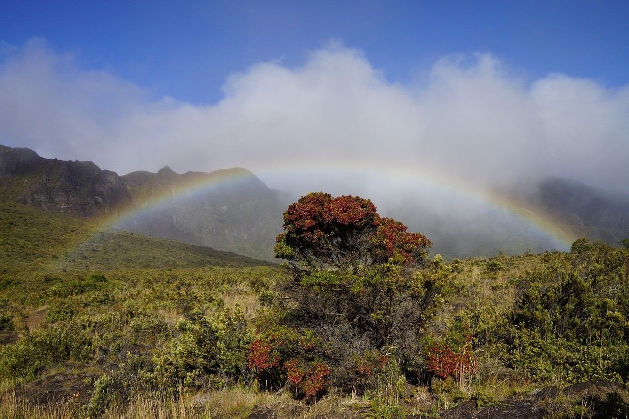 Rainbow - Maui Itinerary