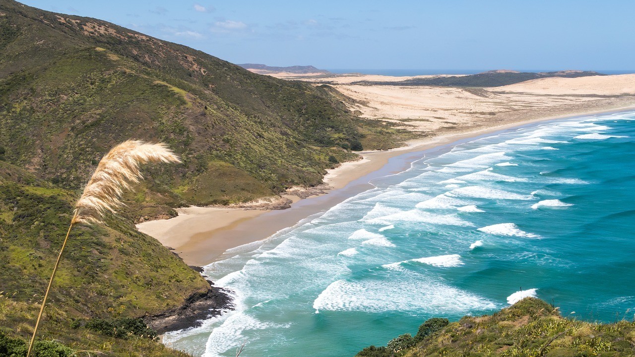 cape reinga - north island new zealand highlights