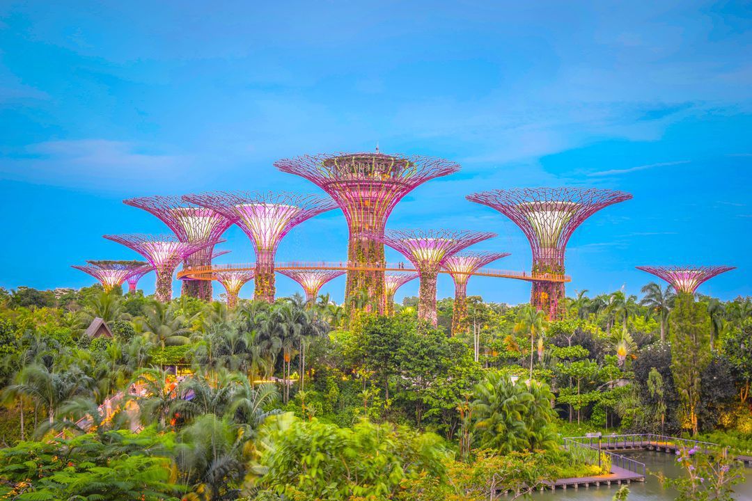 Gardens By The Bay - Singapore Itinerary