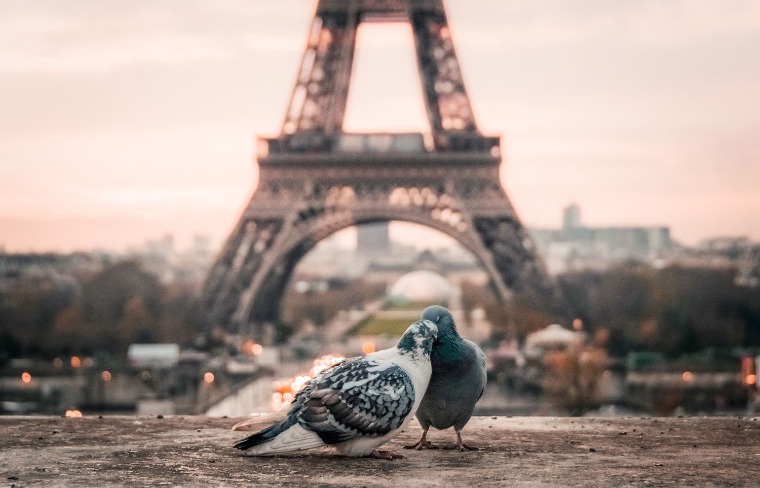 Factos Interessantes de Paris