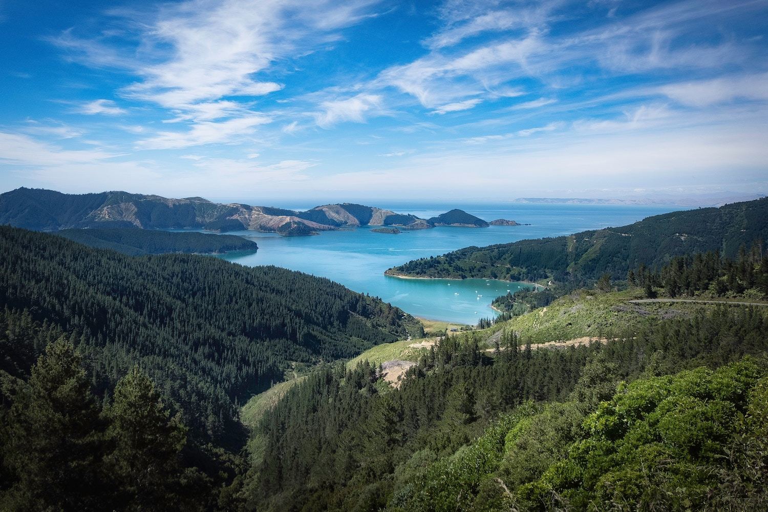 Picton New Zealand - Things to do in Wellington