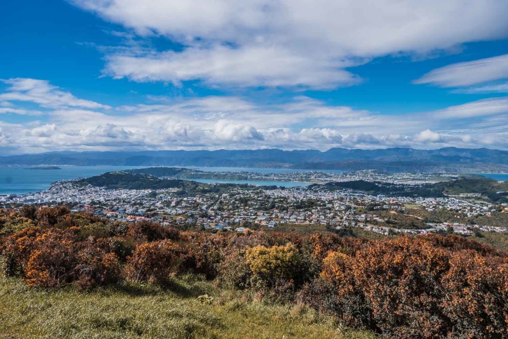 Where is Hot in February | Wellington, New Zealand