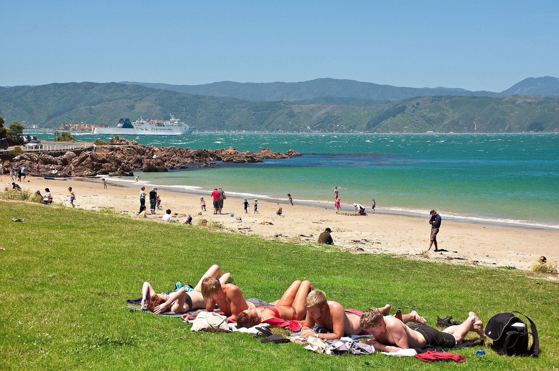 Scorching Bay - Best Things to do in Wellington NZ