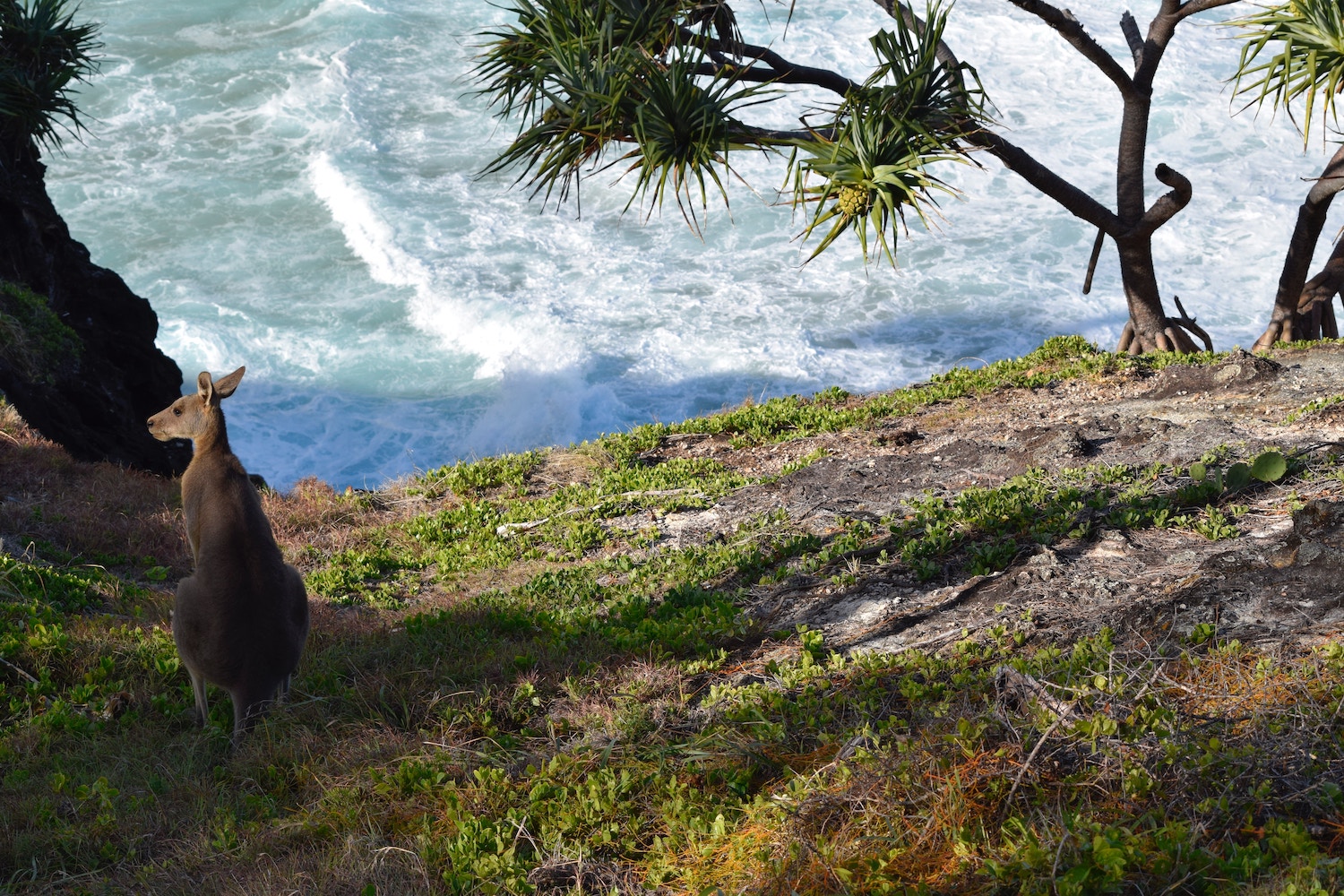 Stradbroke Island - Surfers Paradise Things To Do