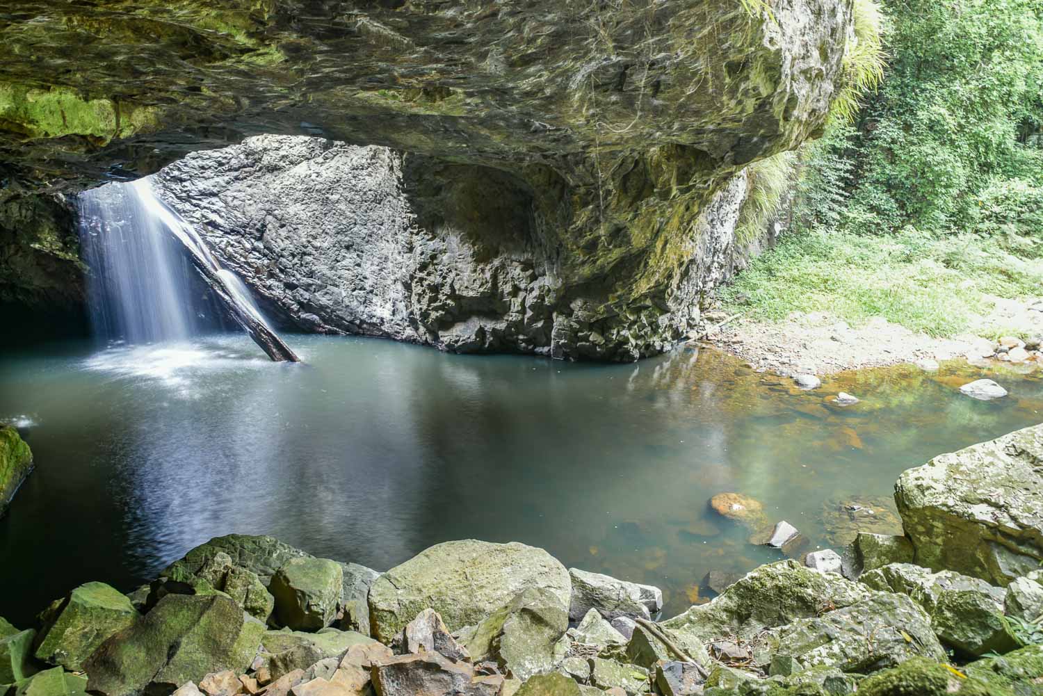 Springbrook National Park