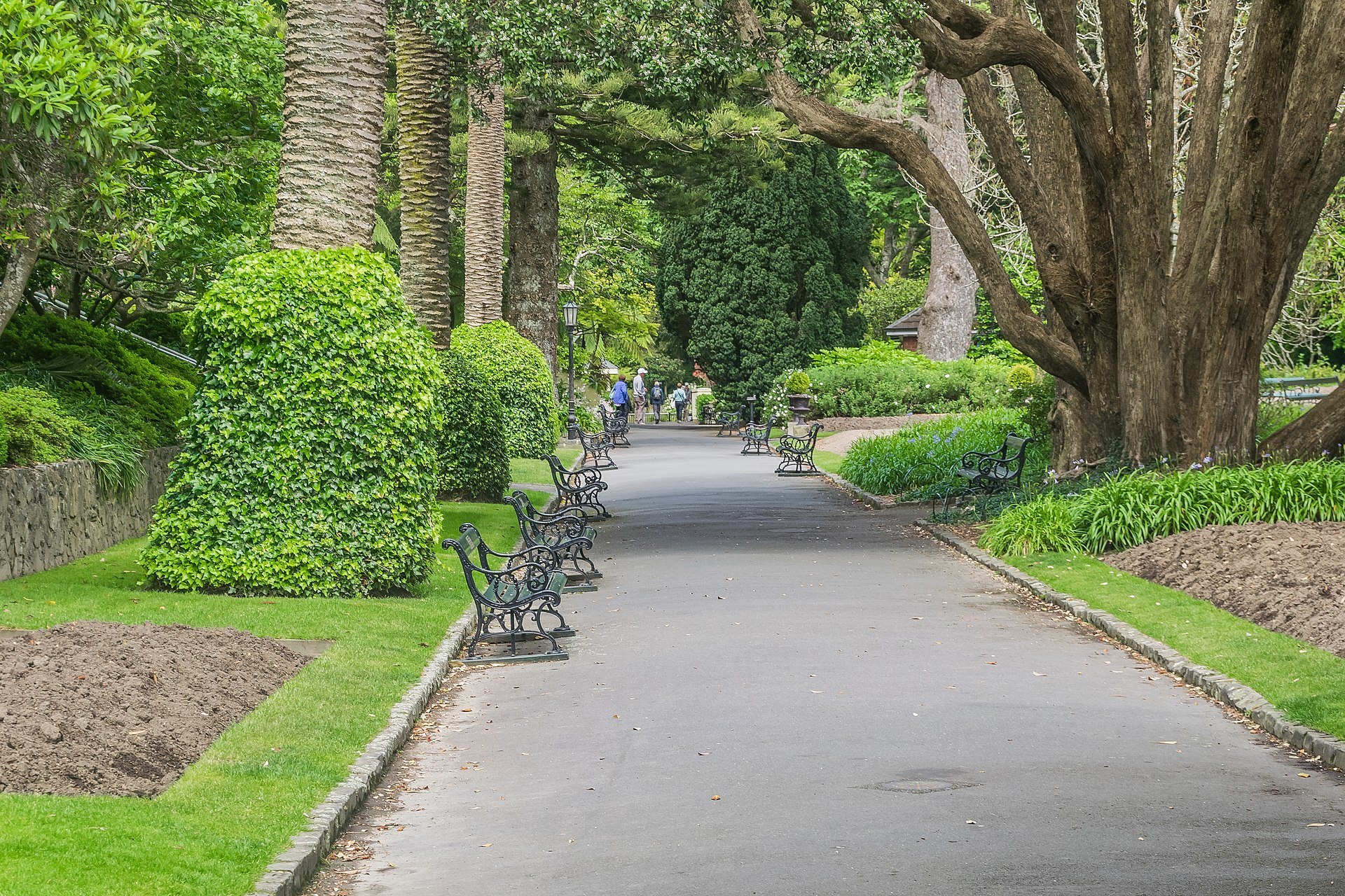 Wellington Botanical Garden in Wellington, New Zealand